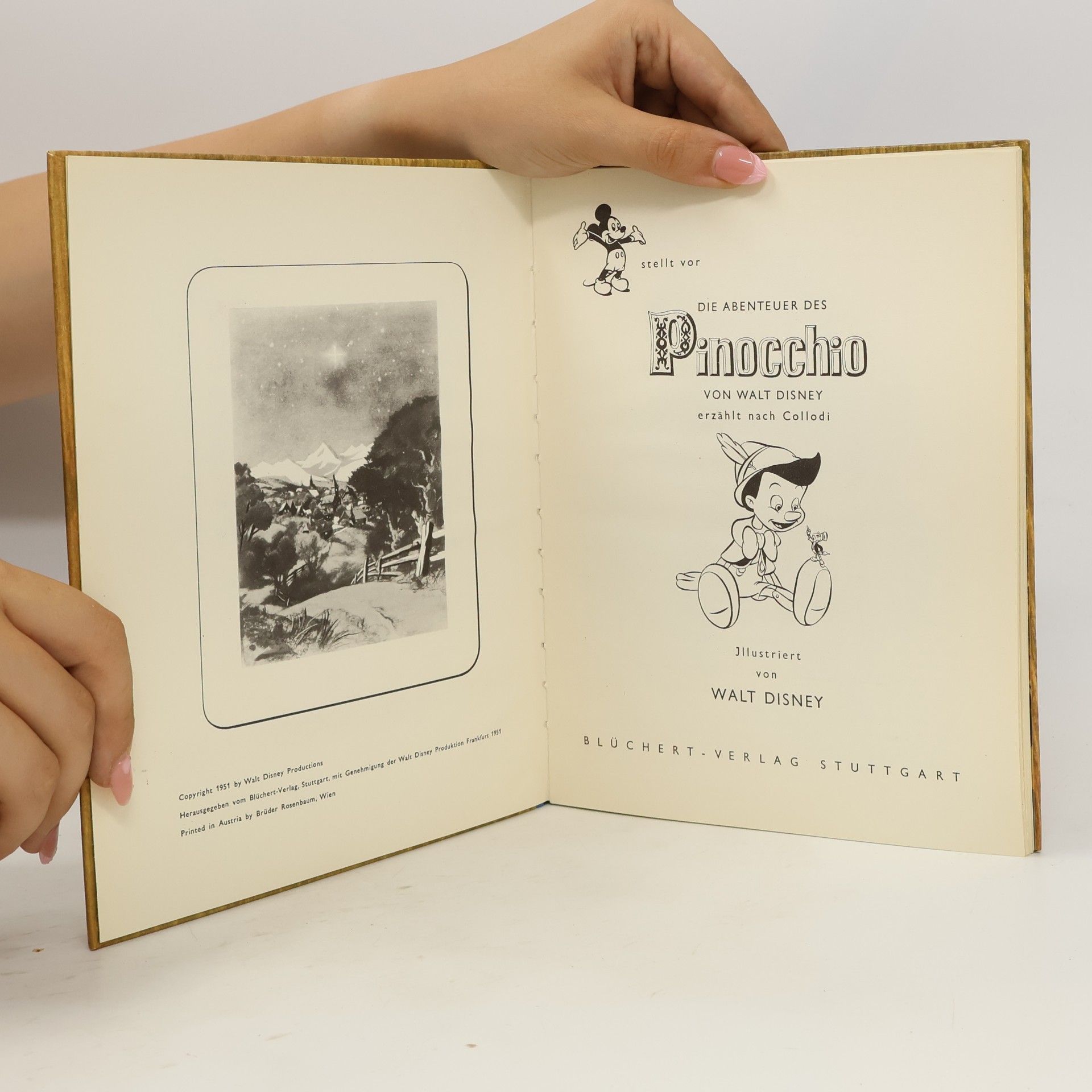 Autorenkollektiv Die Abenteuer des Pinocchio von Walt Disney