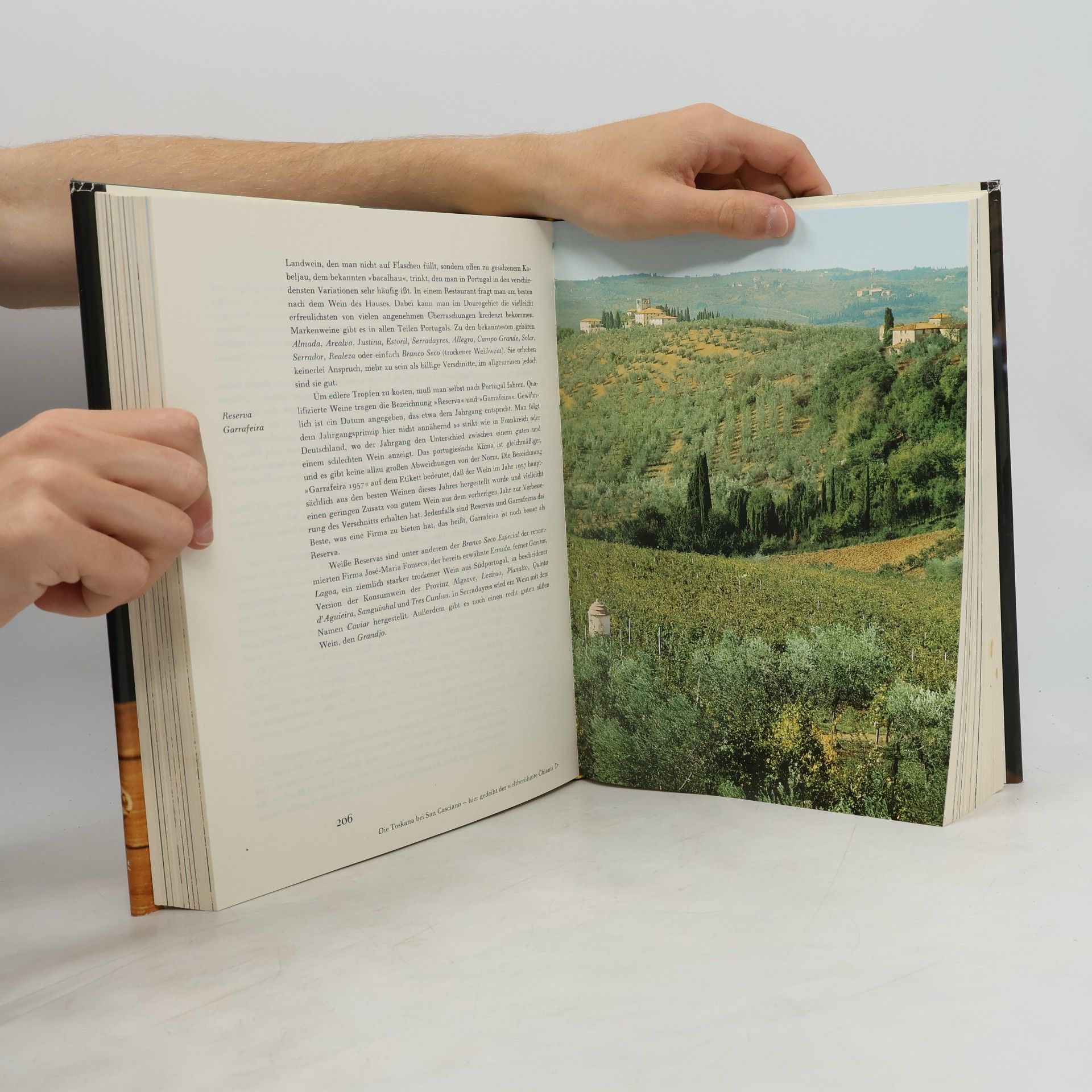 Hugh Johnson Das grosse Buch vom Wein