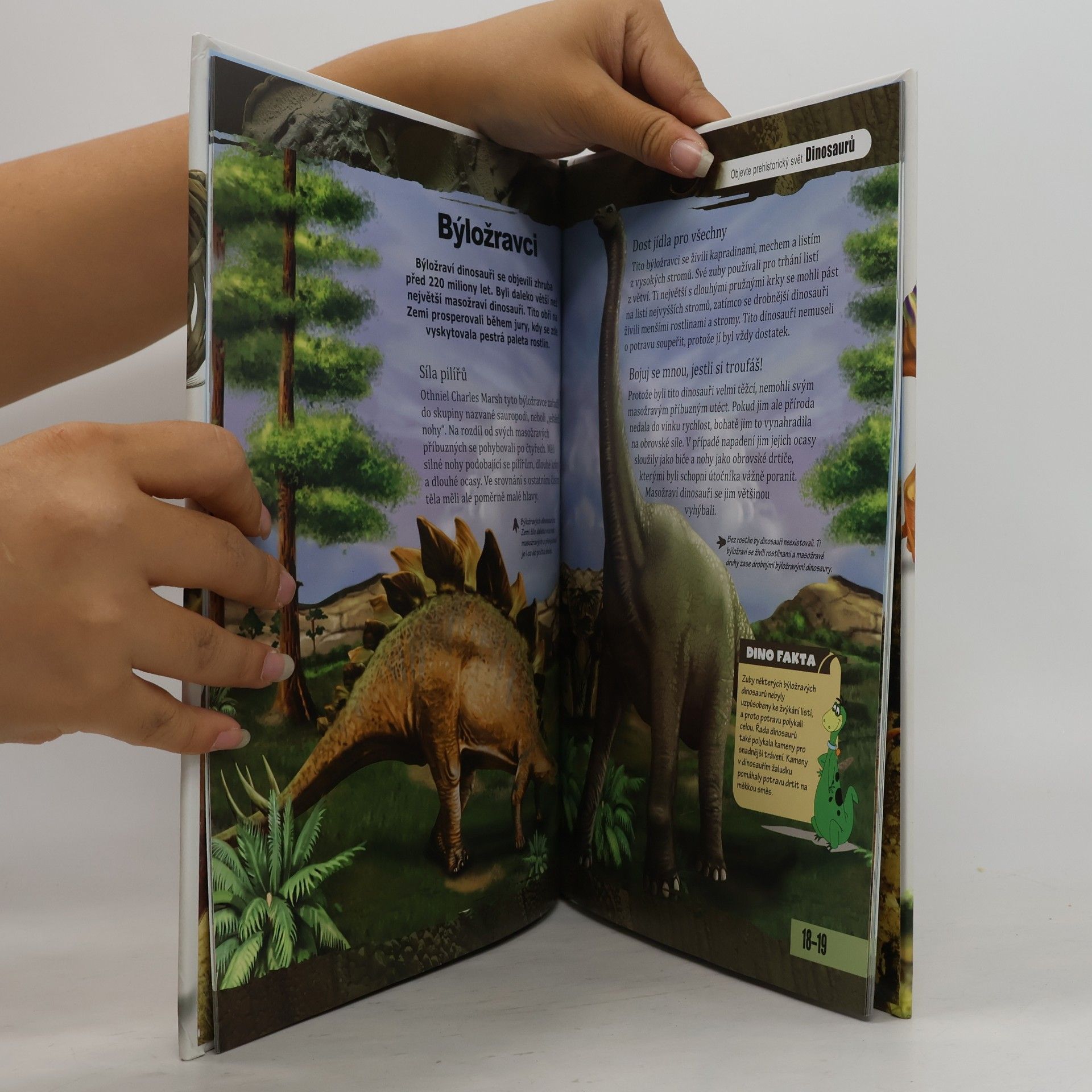 Autorenkollektiv Nové obzory - Dinosauři: Dobrodružství ve světě dinosaurů Dinosauři Objevte prehistorický svět dinosaurů