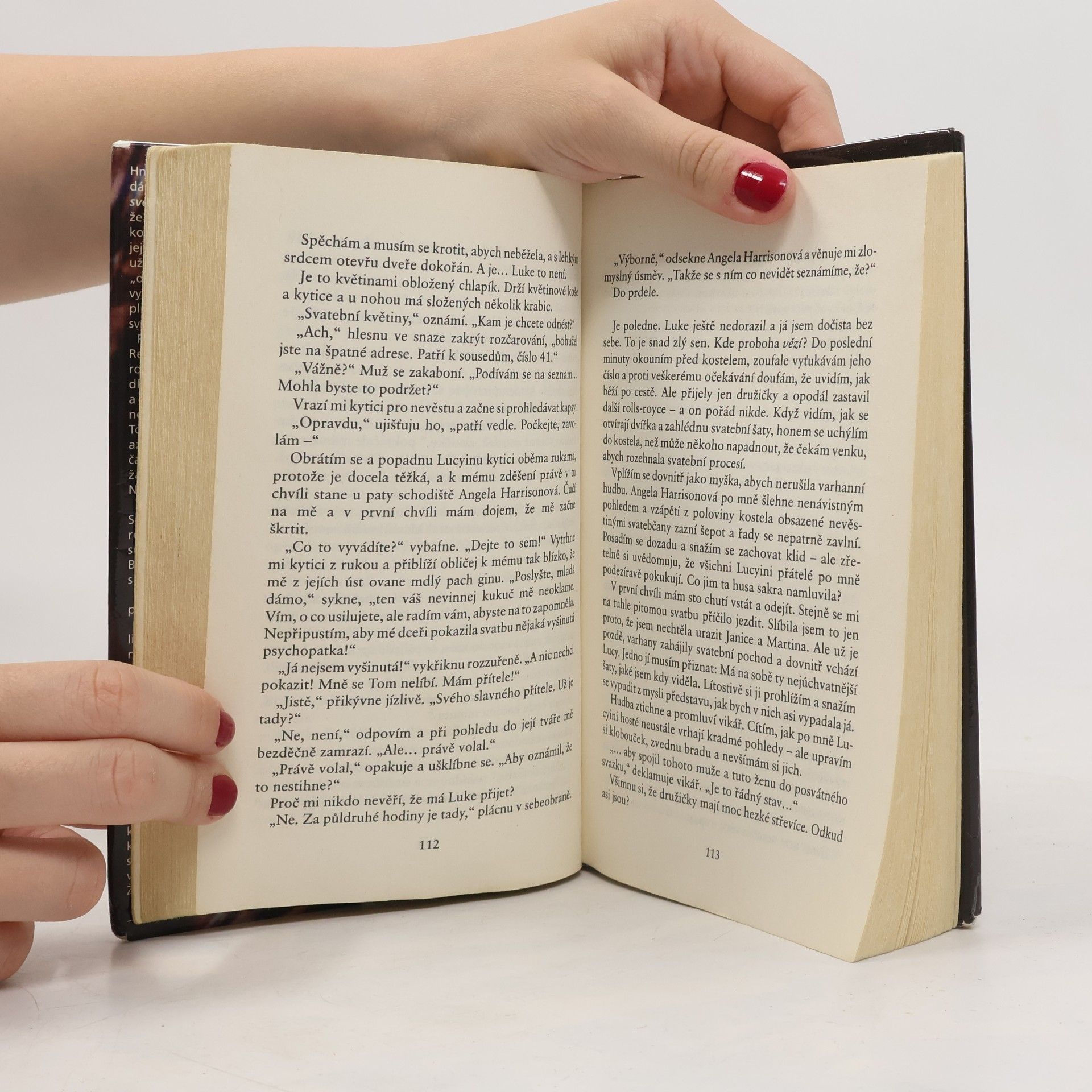 Sophie Kinsella Shopaholik za hranicemi