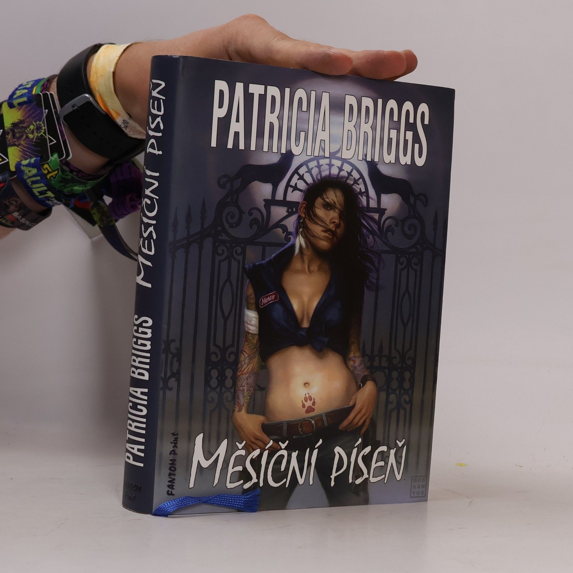 Patricia Briggs Měsíční píseň