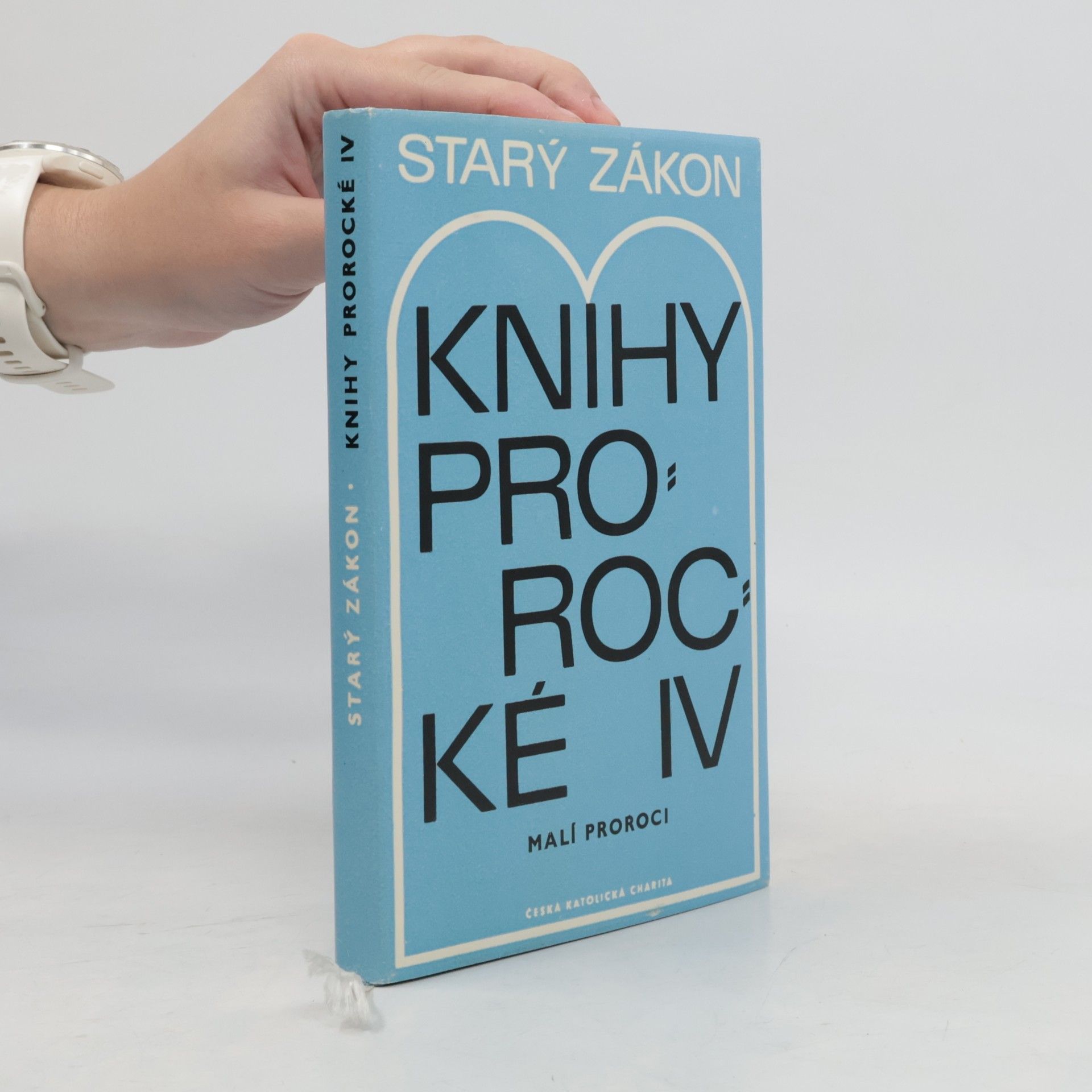 Václav Bogner Starý zákon: Knihy prorocké IV. Malí proroci.