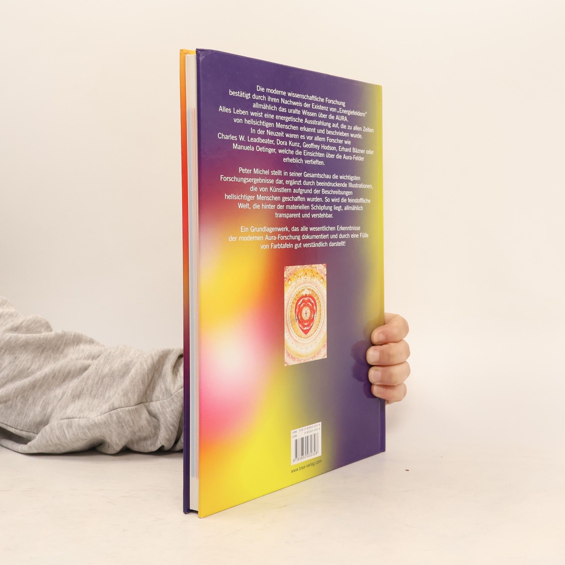 Peter Michel Das grosse Aura-Buch