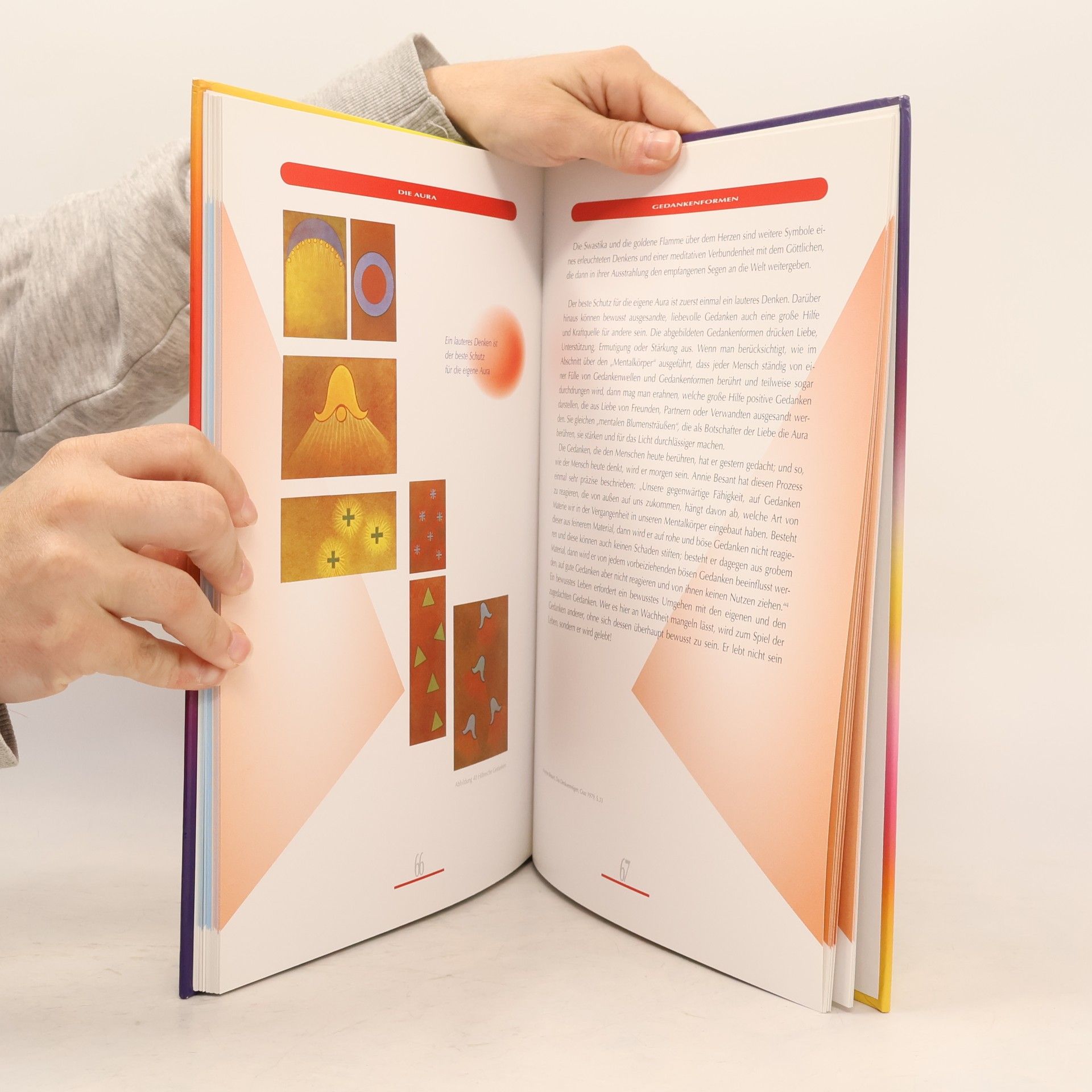 Peter Michel Das grosse Aura-Buch