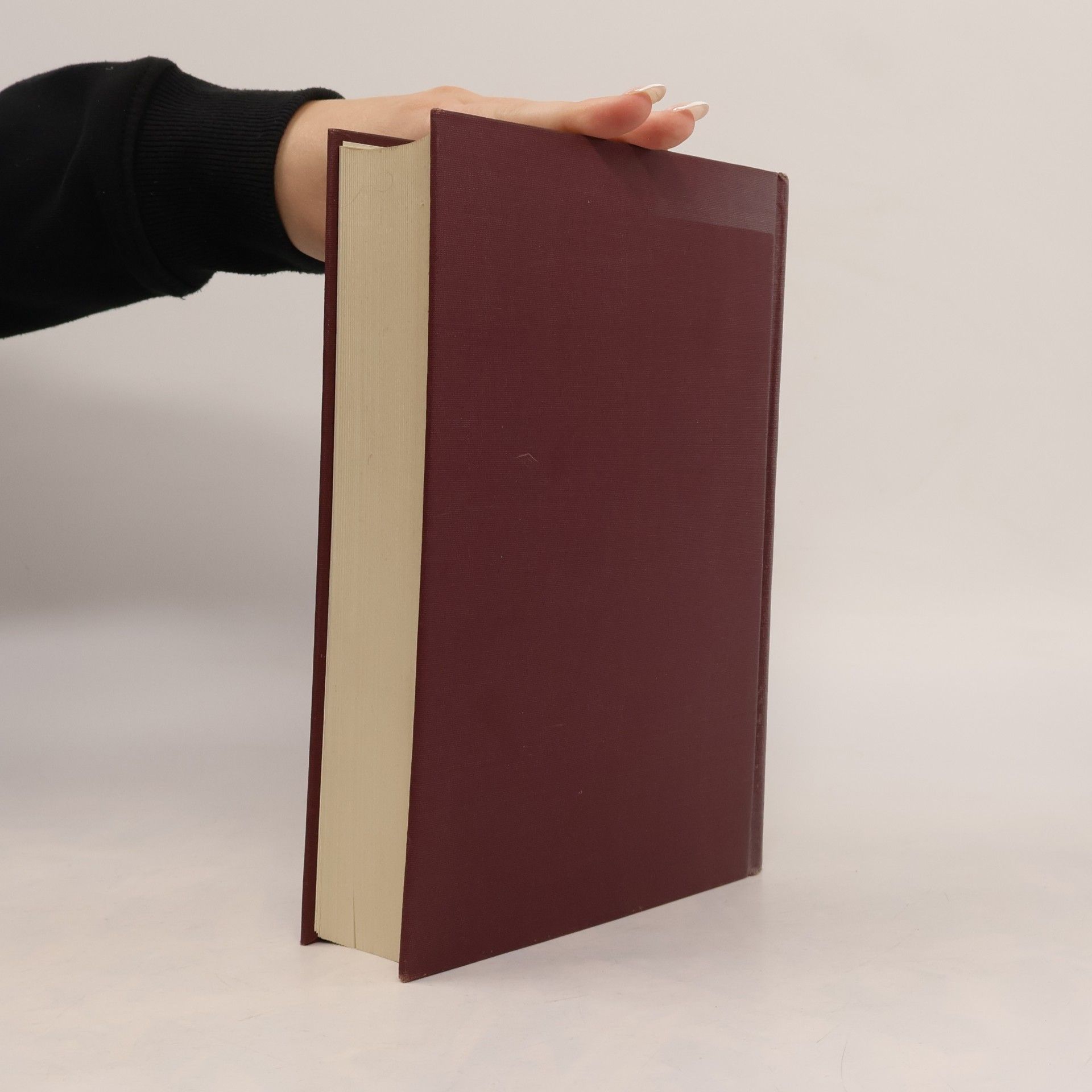 Julius von Schlosser La letteratura artistica
