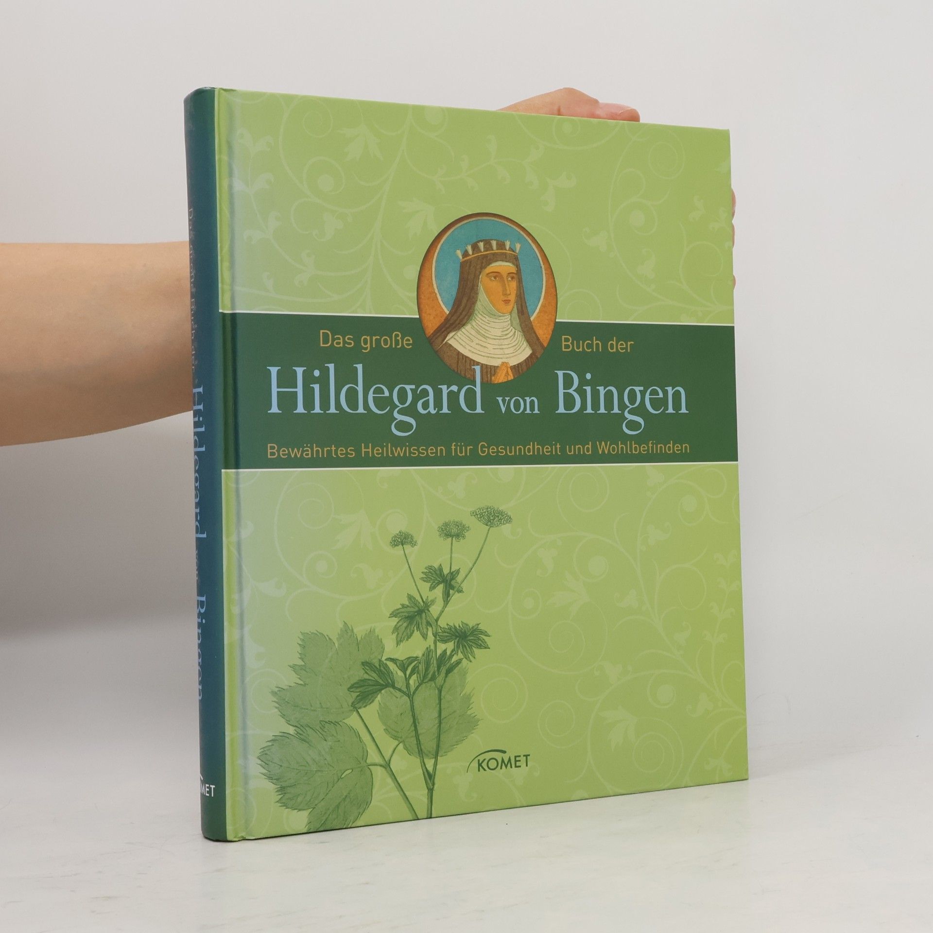 Hildegard of Bingen Das große Buch der Hildegard von Bingen