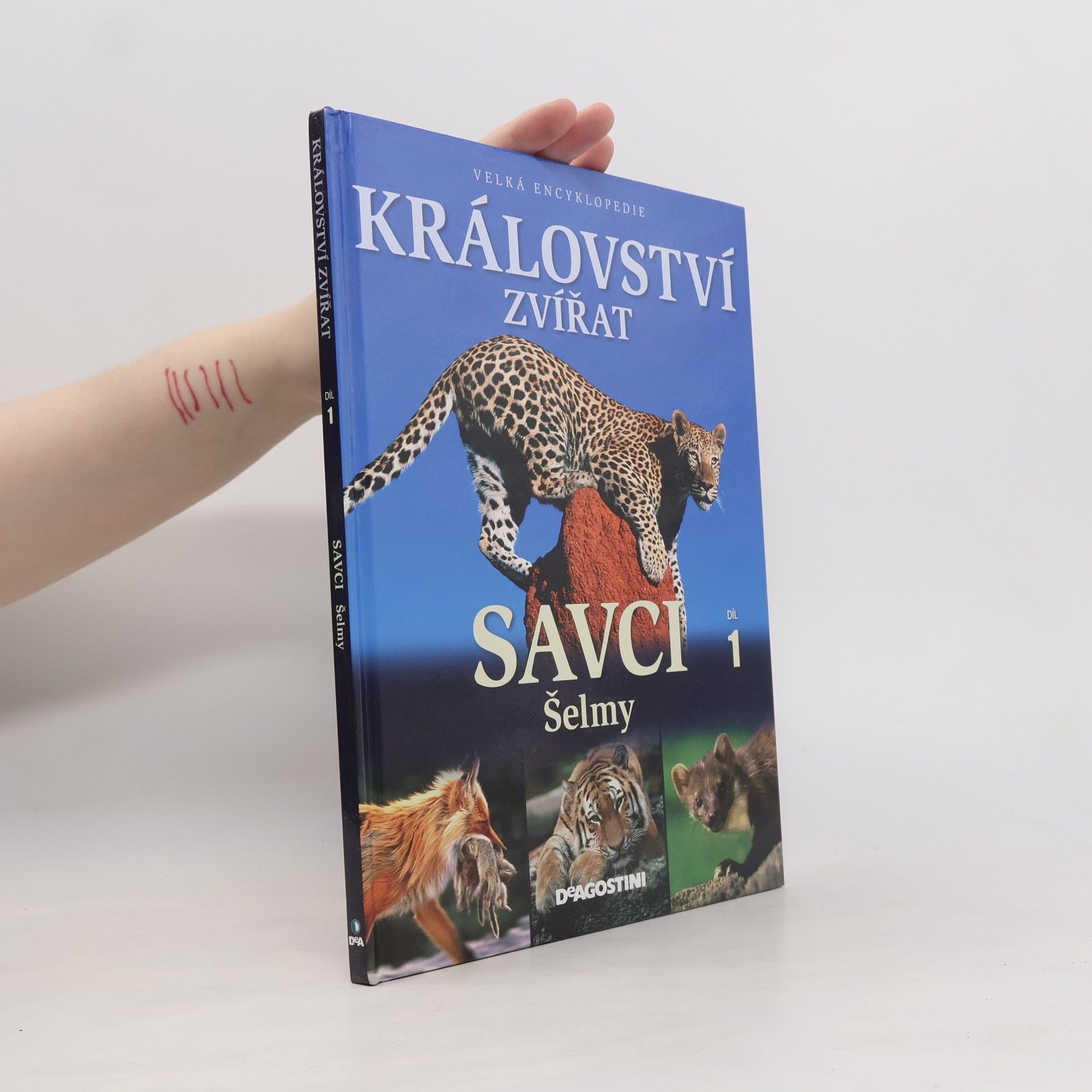 Miluše Rysová Království zvířat. 1. díl, Savci : šelmy