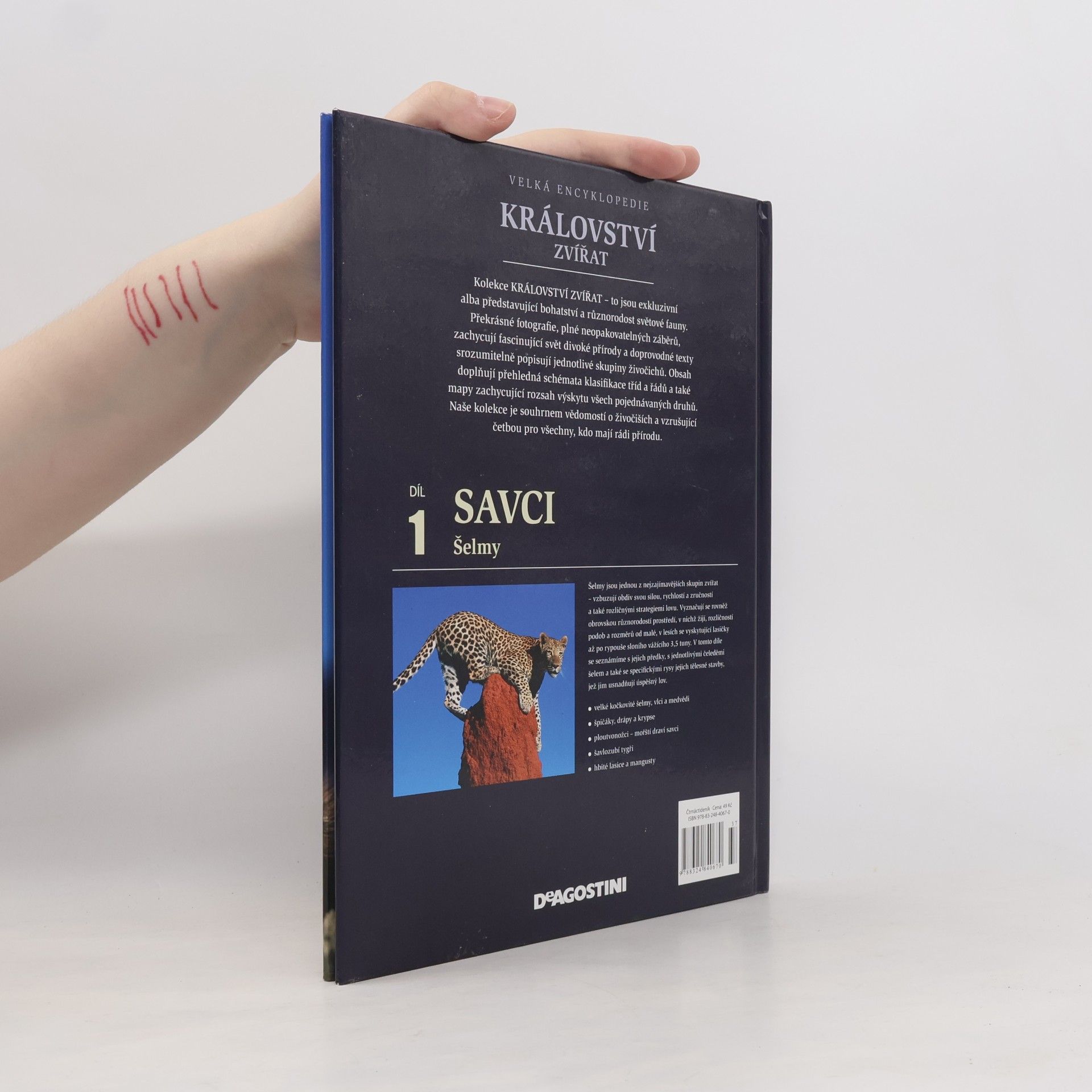 Miluše Rysová Království zvířat. 1. díl, Savci : šelmy