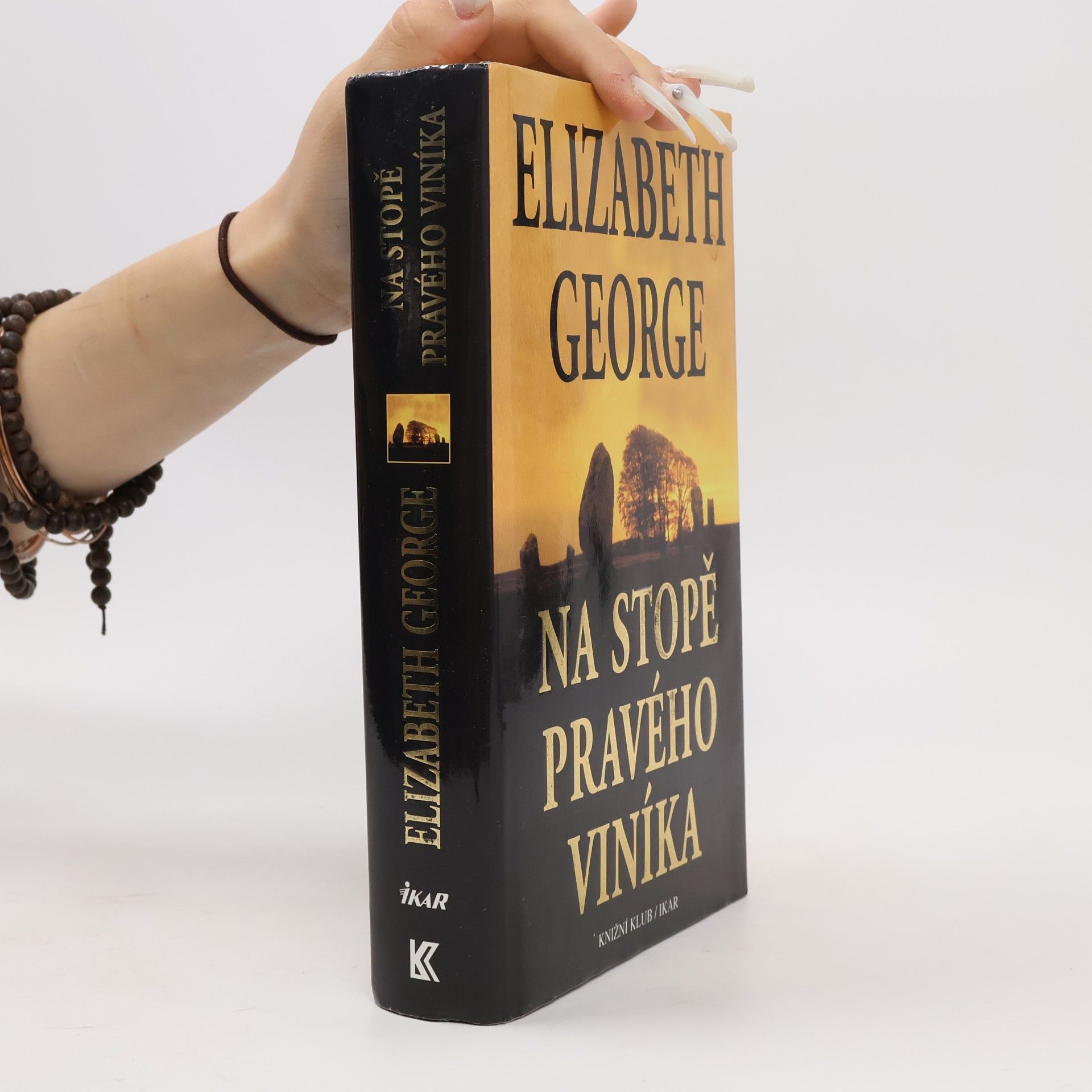 Elizabeth George Na stopě pravého viníka