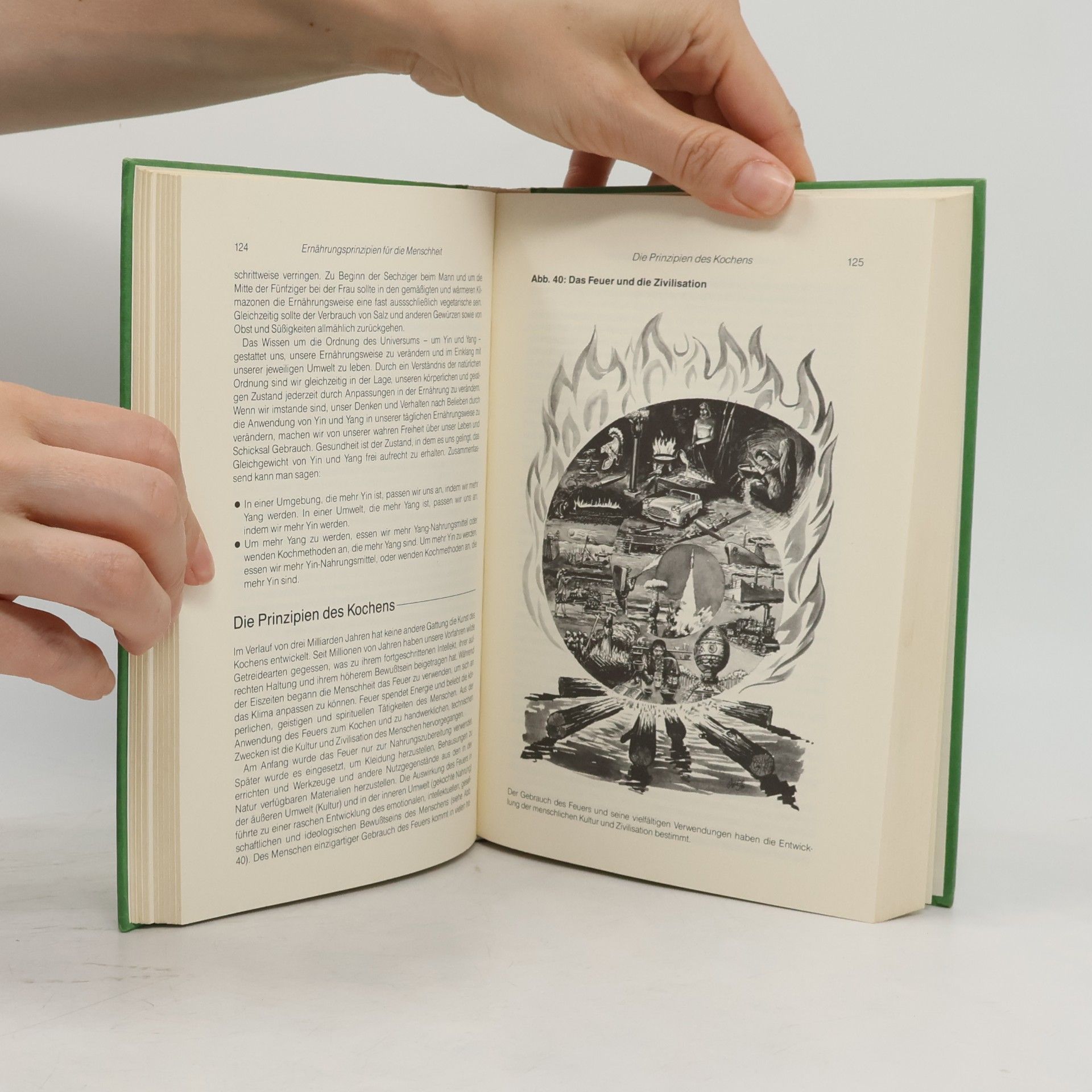 Michio Kushi Das Buch der Makrobiotik