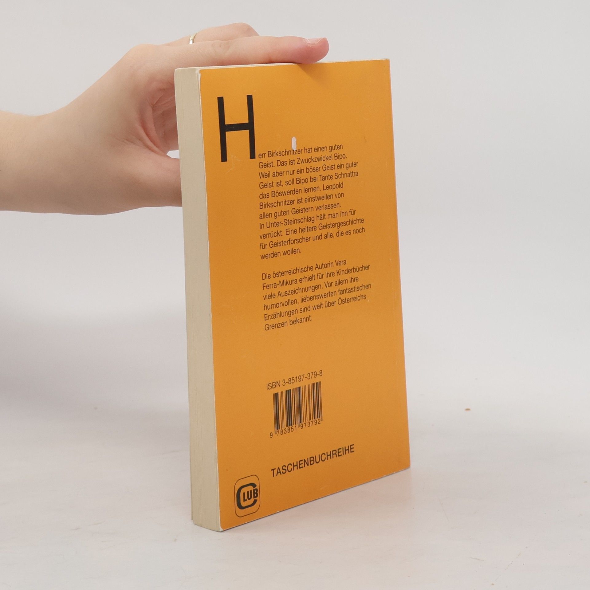Vera Ferra-Mikura Mein grün gestreiftes Geisterbuch