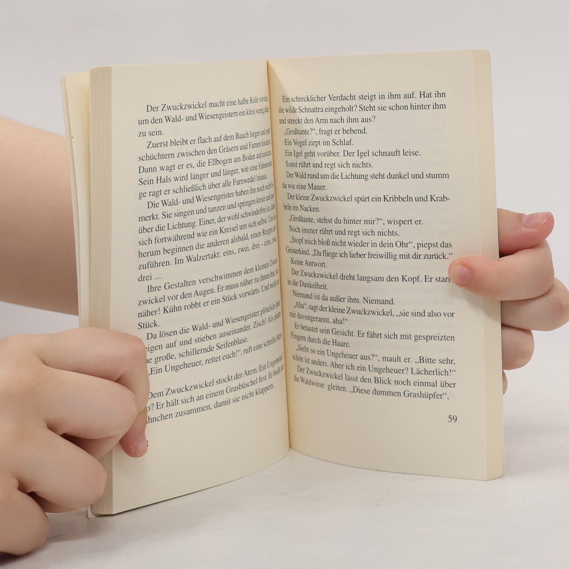 Vera Ferra-Mikura Mein grün gestreiftes Geisterbuch