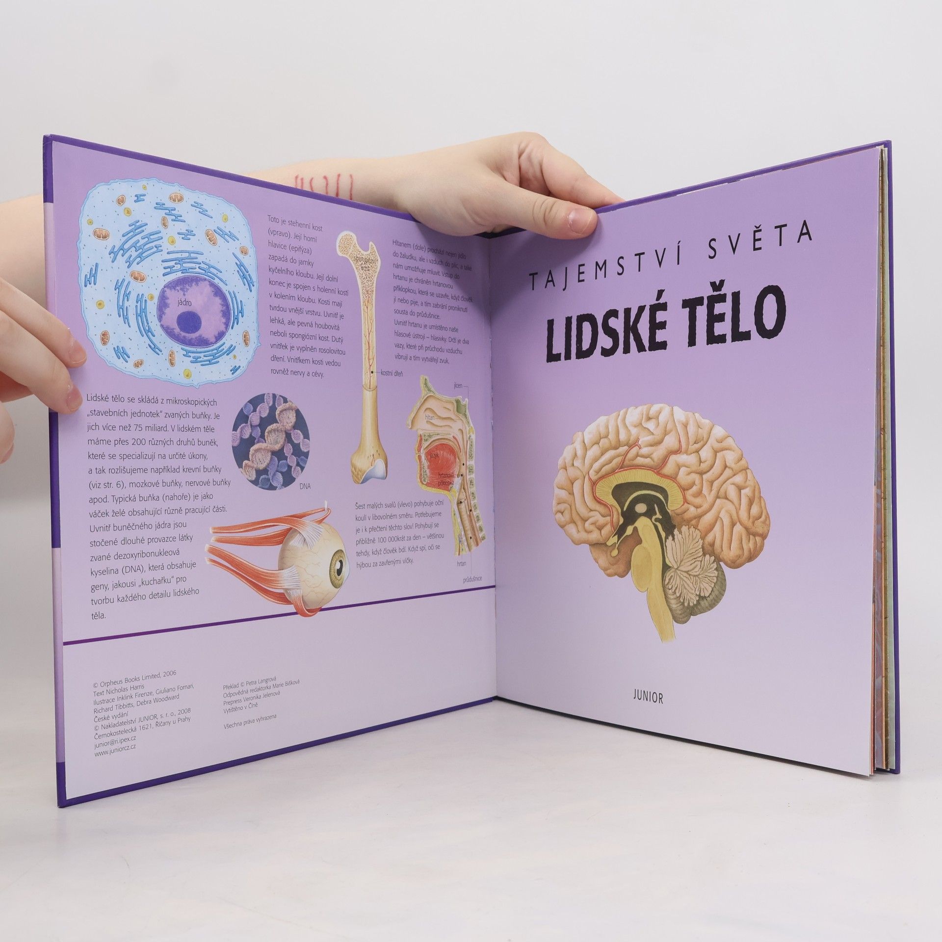 Kolektiv autorů Tajemství světa. Lidské tělo