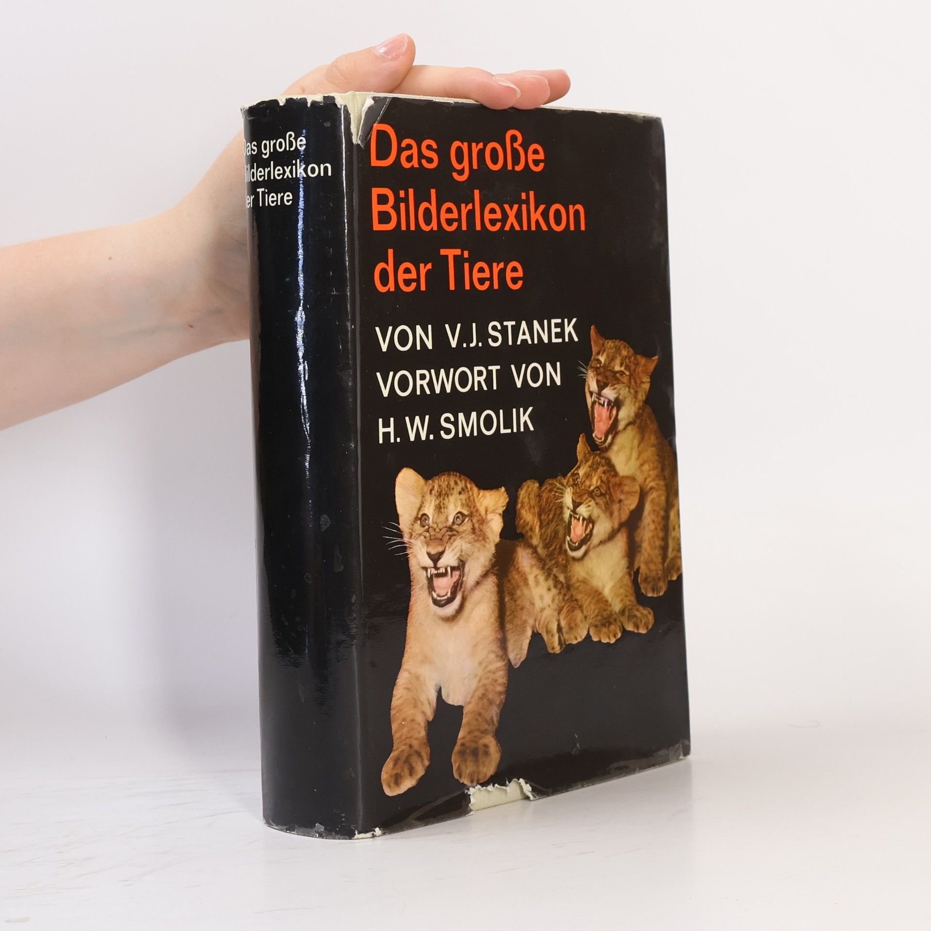 Das grosse Bilderlexikon der Tiere