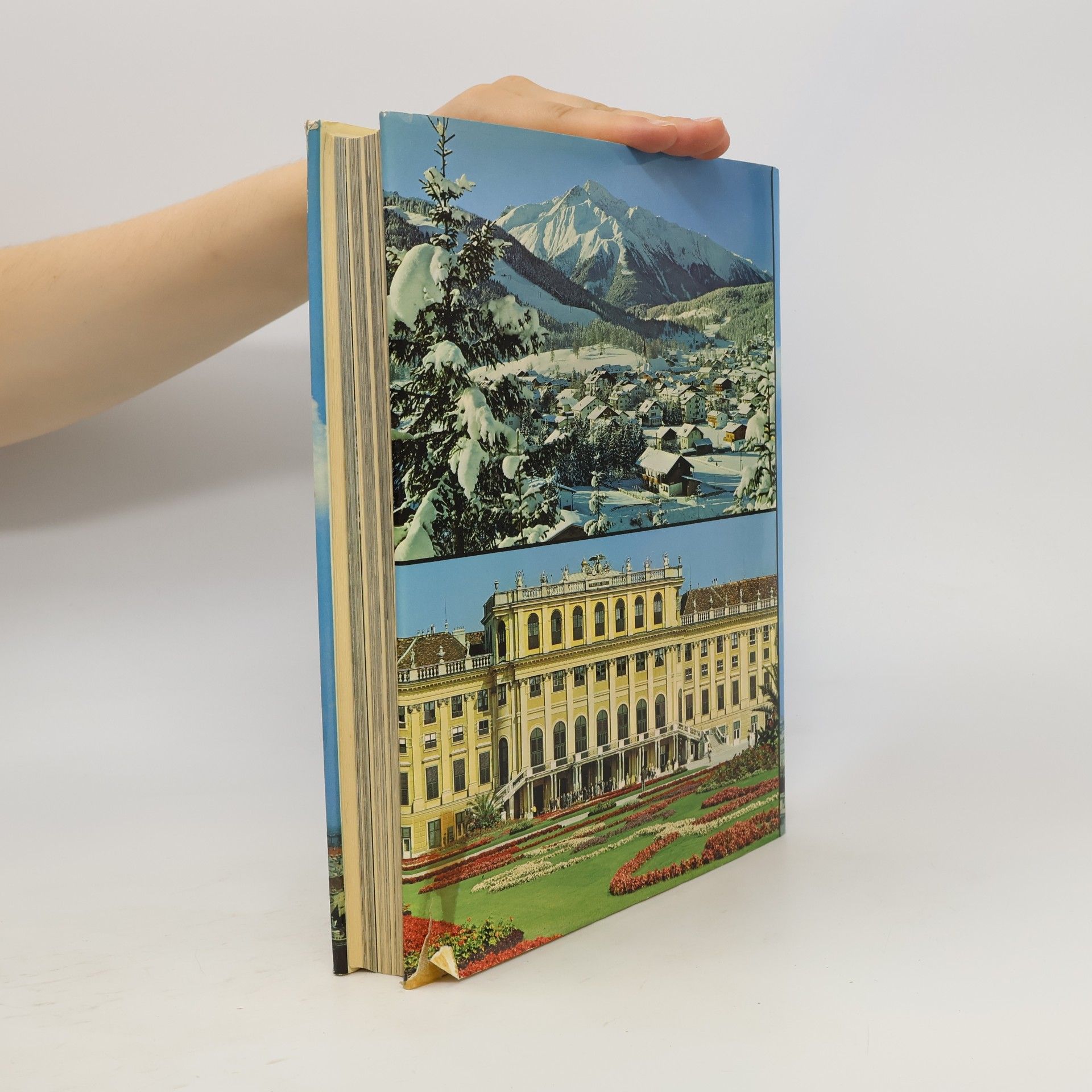 Autorenkollektiv Österreich. Das Land in dem wir leben
