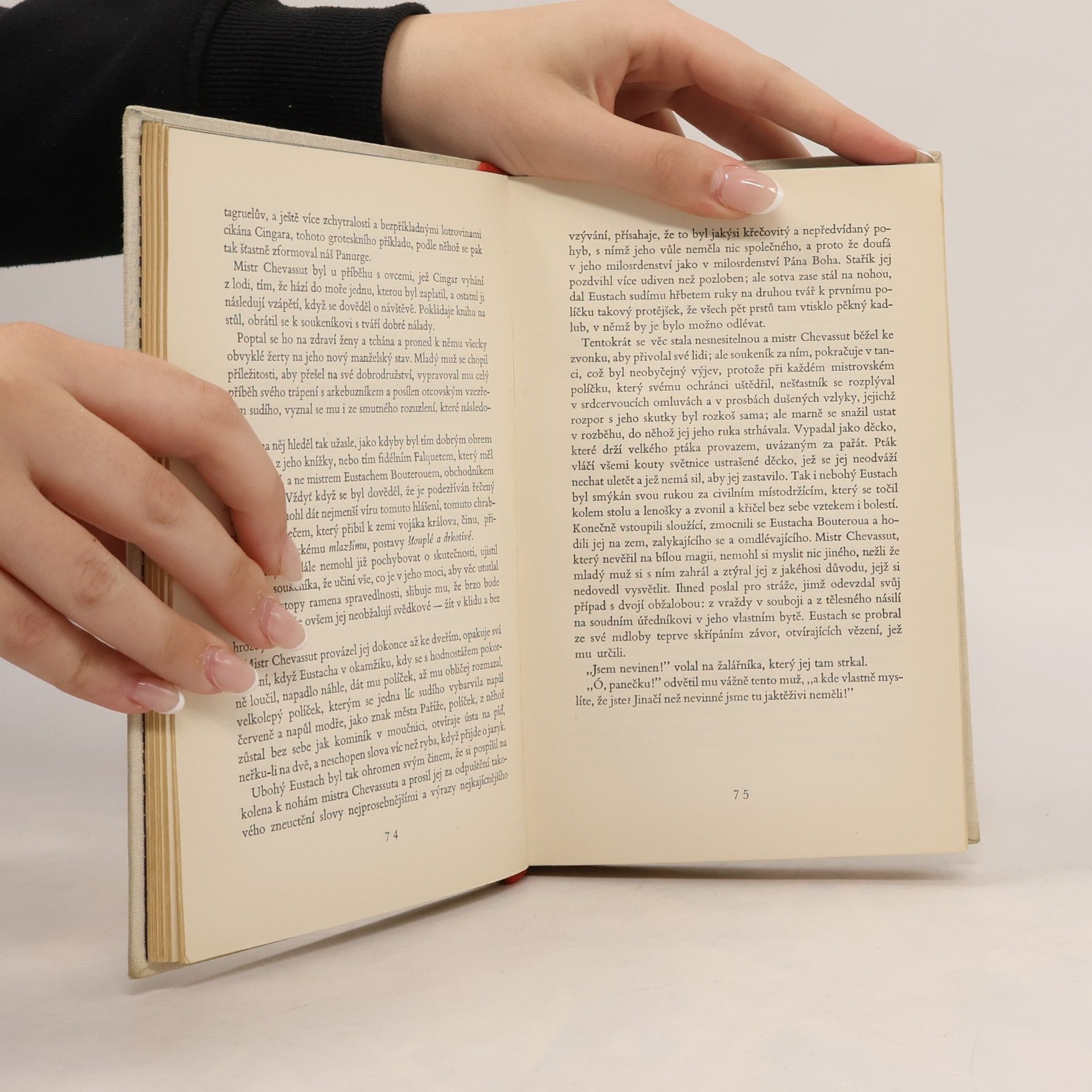 Alfred de Vigny Deset francouzských novel
