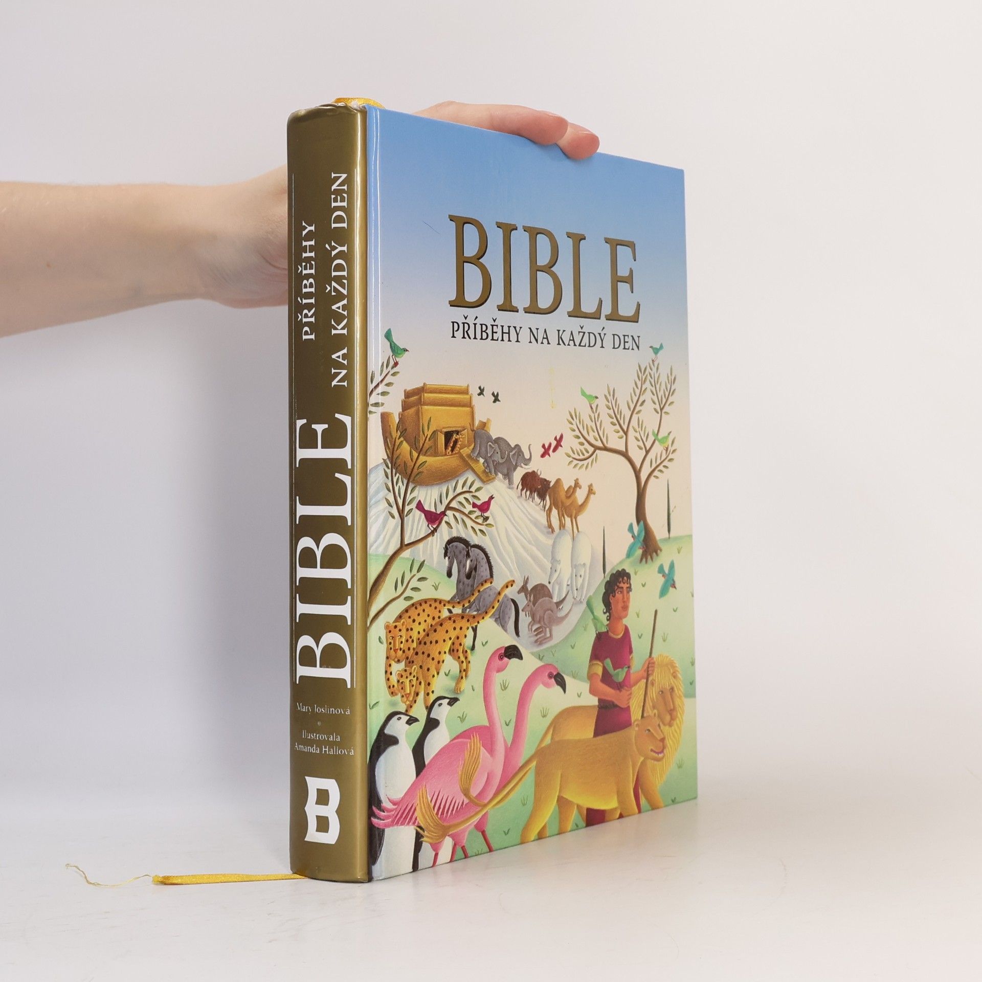 Mary Joslin Bible : příběhy na každý den