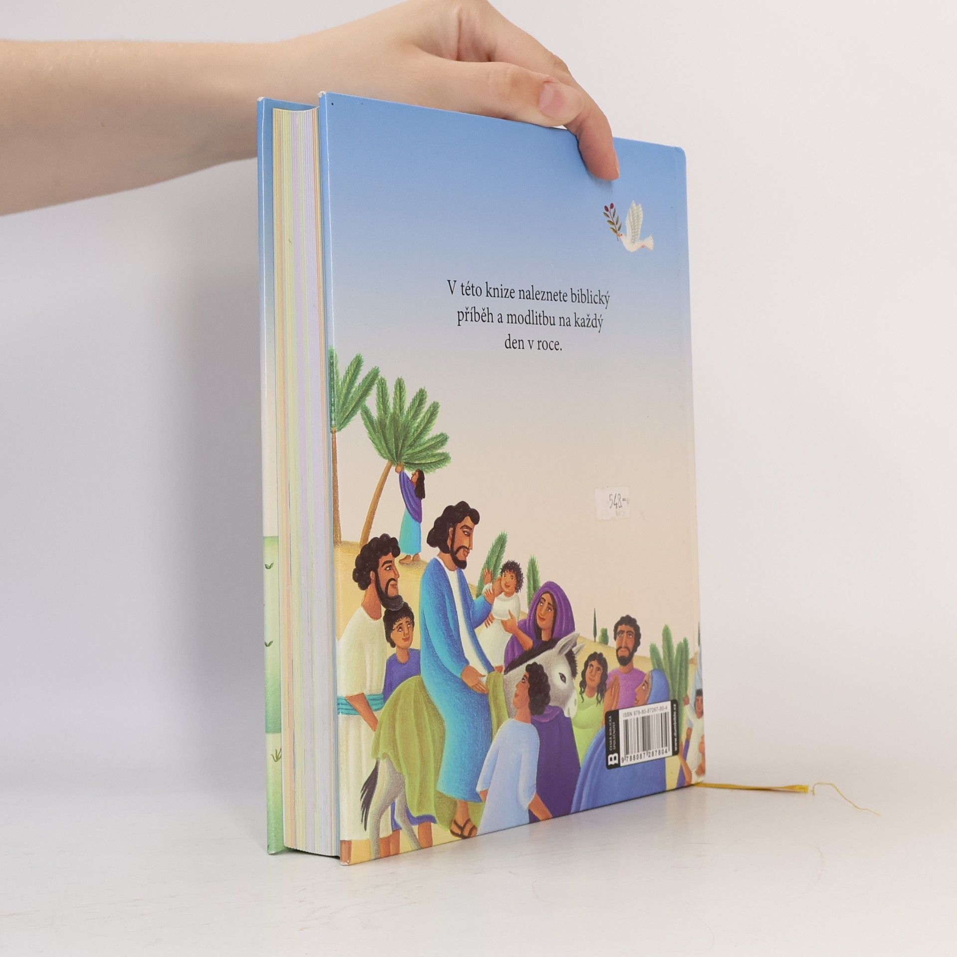 Mary Joslin Bible : příběhy na každý den