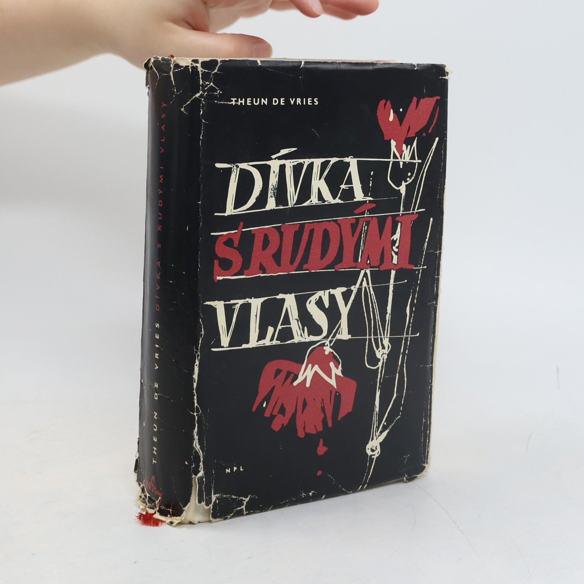 Dívka s rudými vlasy