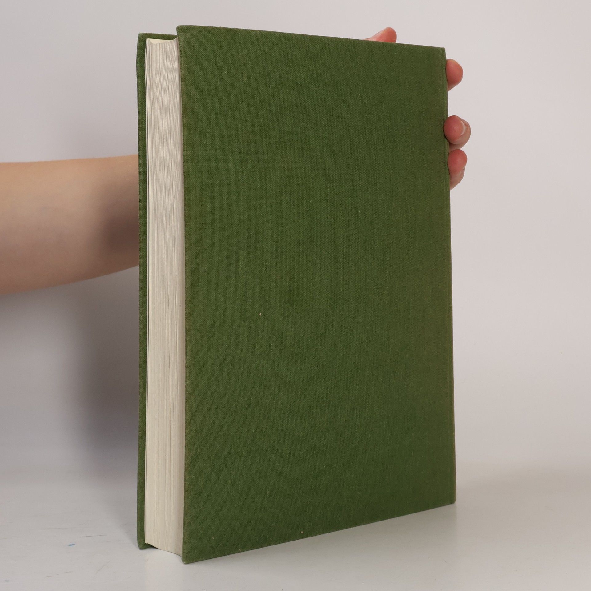 Fundberichte aus Baden-Württemberg. Festschrift für Hartwig Zürn.
