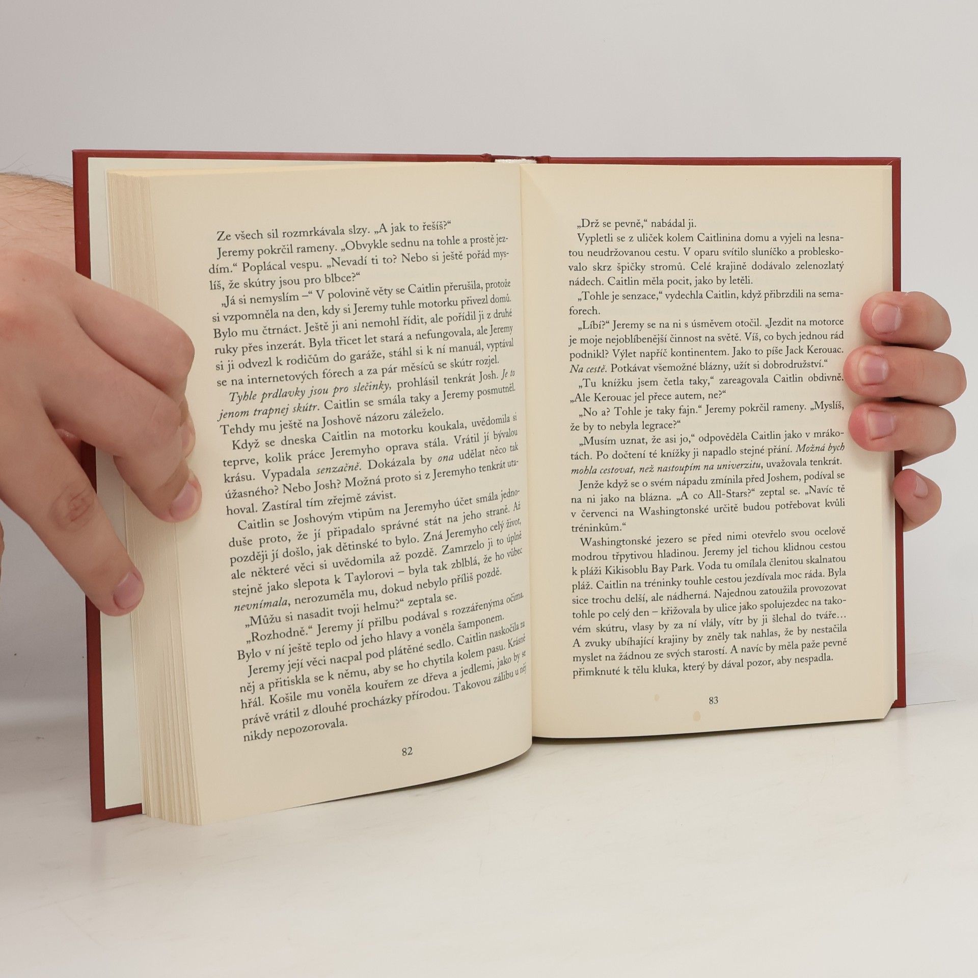 Sara Shepard Perfekcionistky