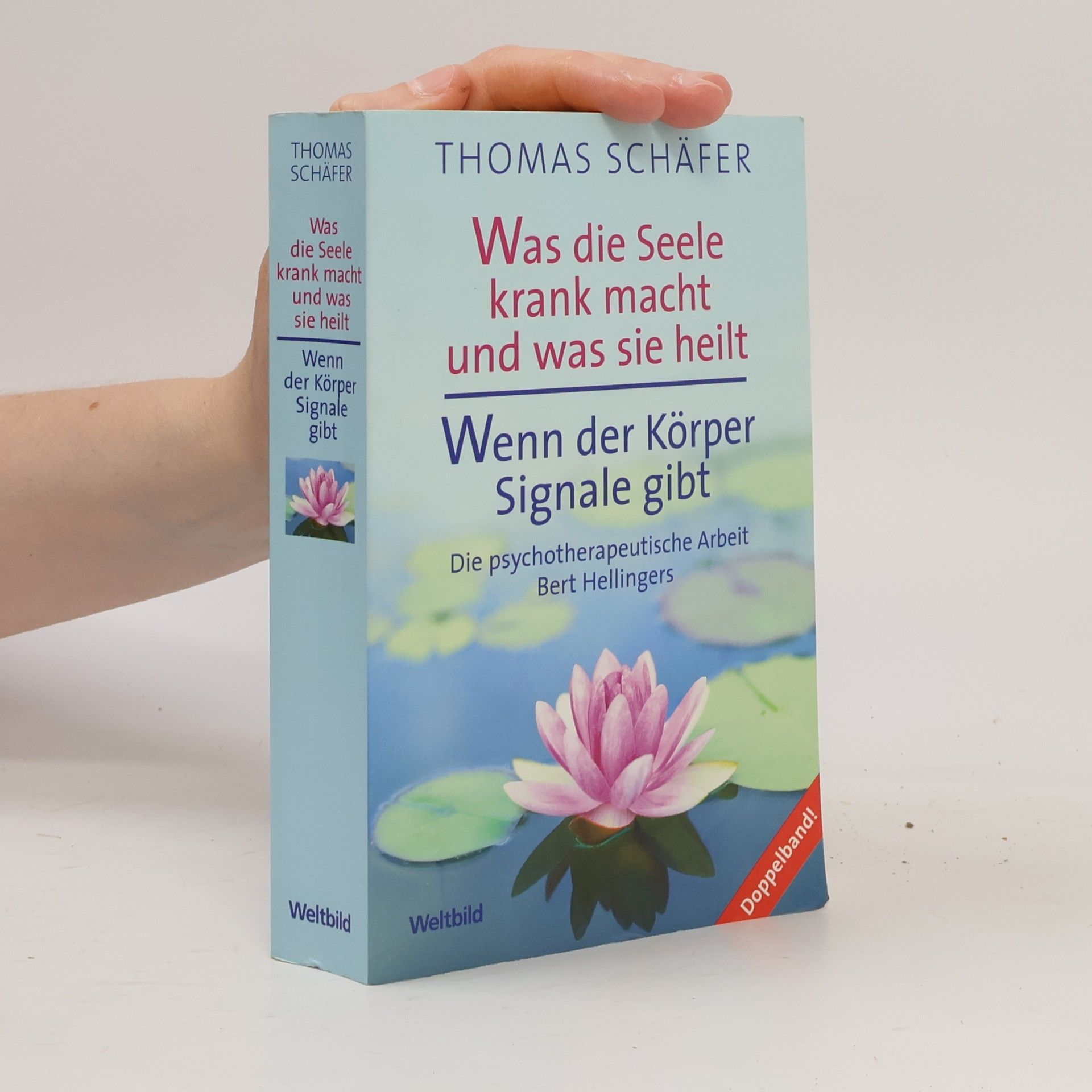 Thomas Schäfer Was die Seele krank macht und was sie heilt