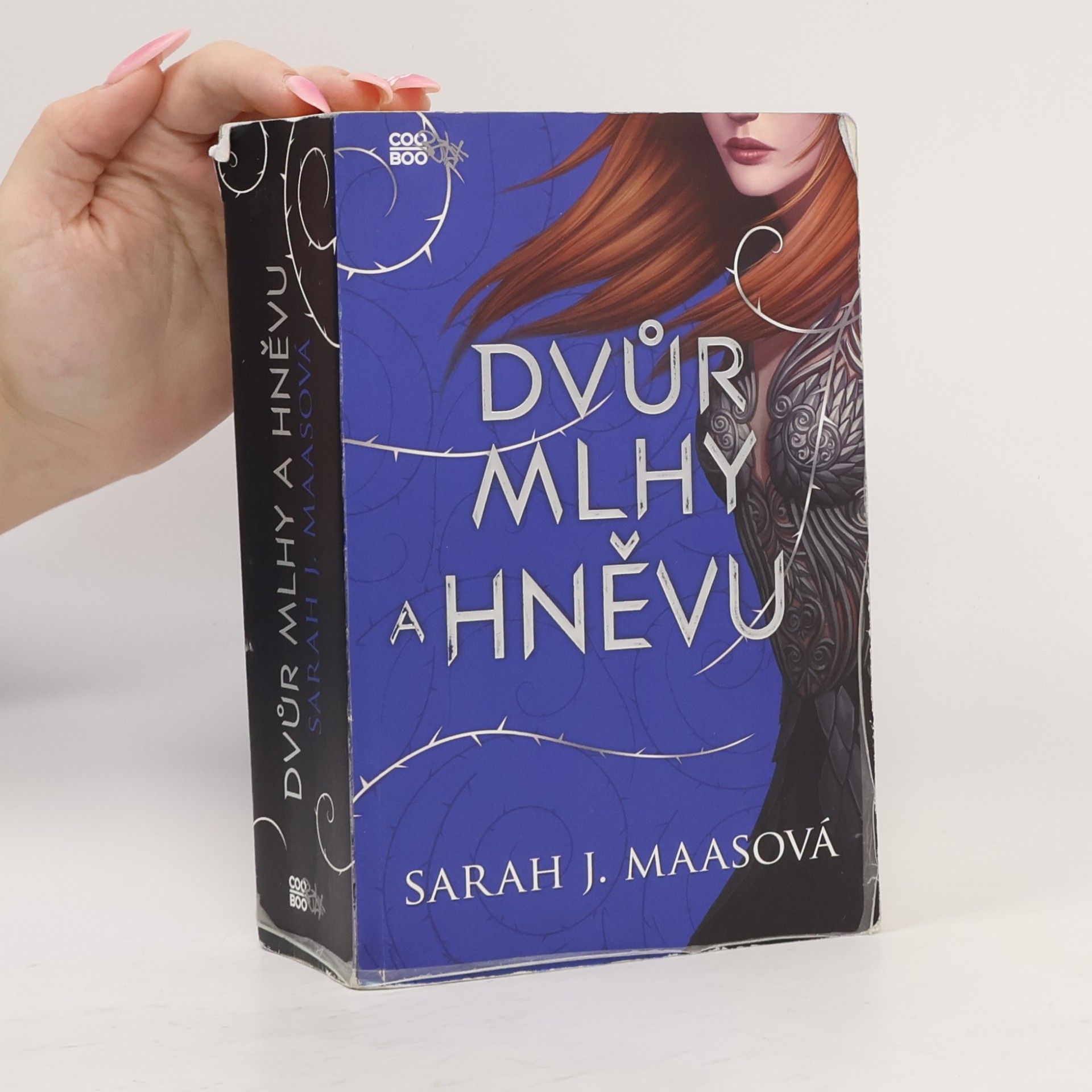Sarah J. Maas Dvůr mlhy a hněvu