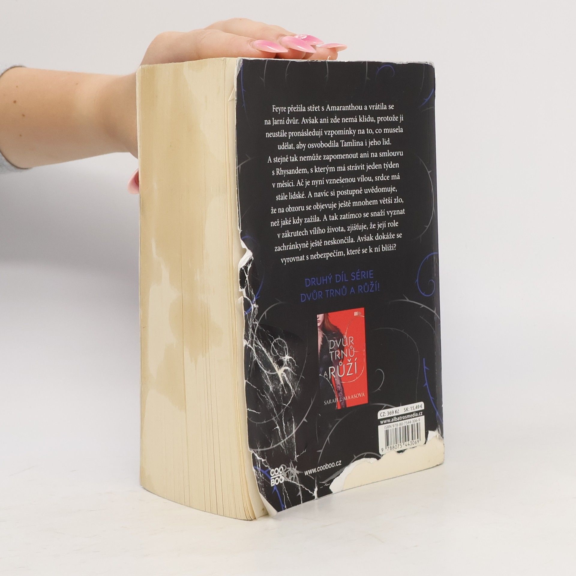Sarah J. Maas Dvůr mlhy a hněvu