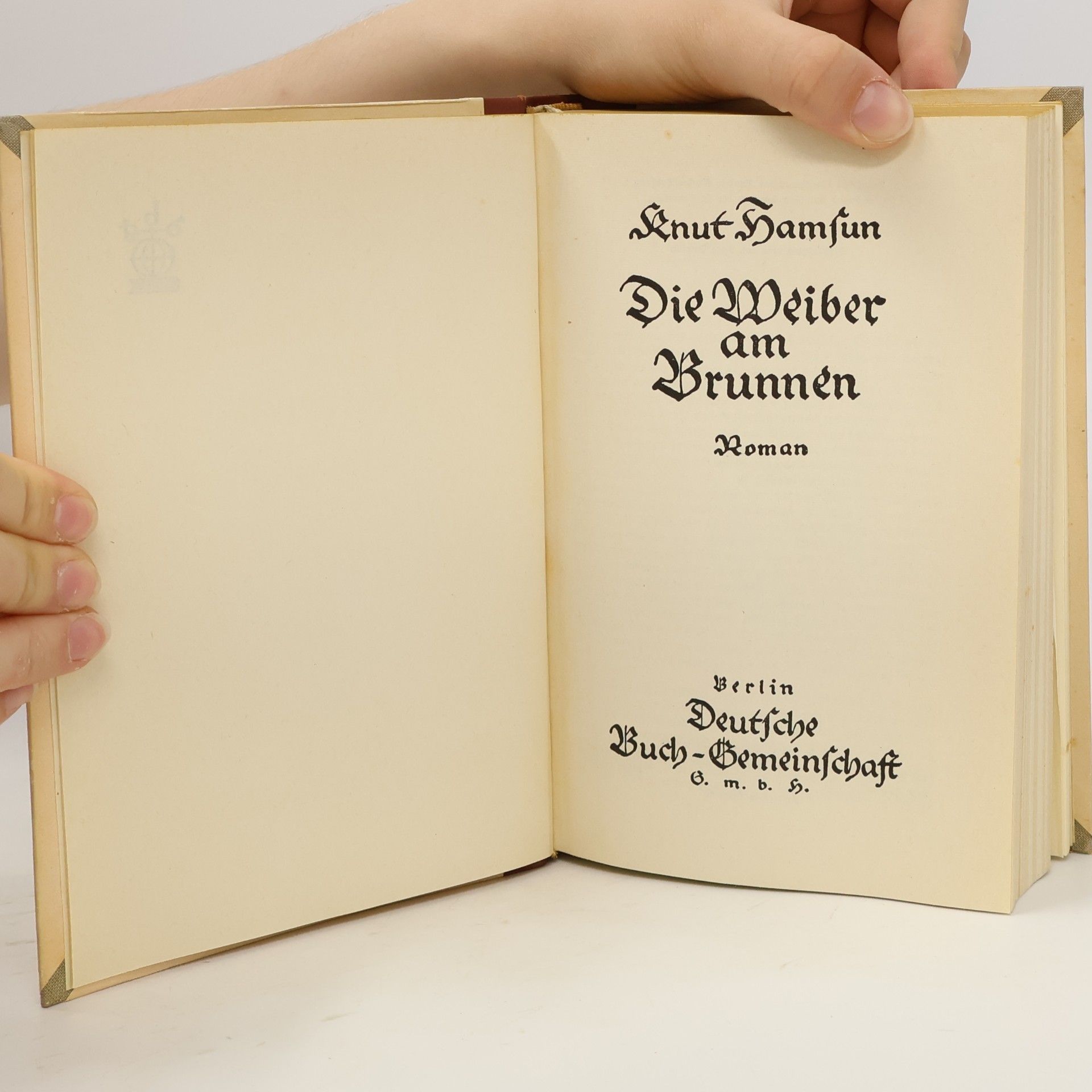 Knut Hamsun Die Weiber am Brunnen