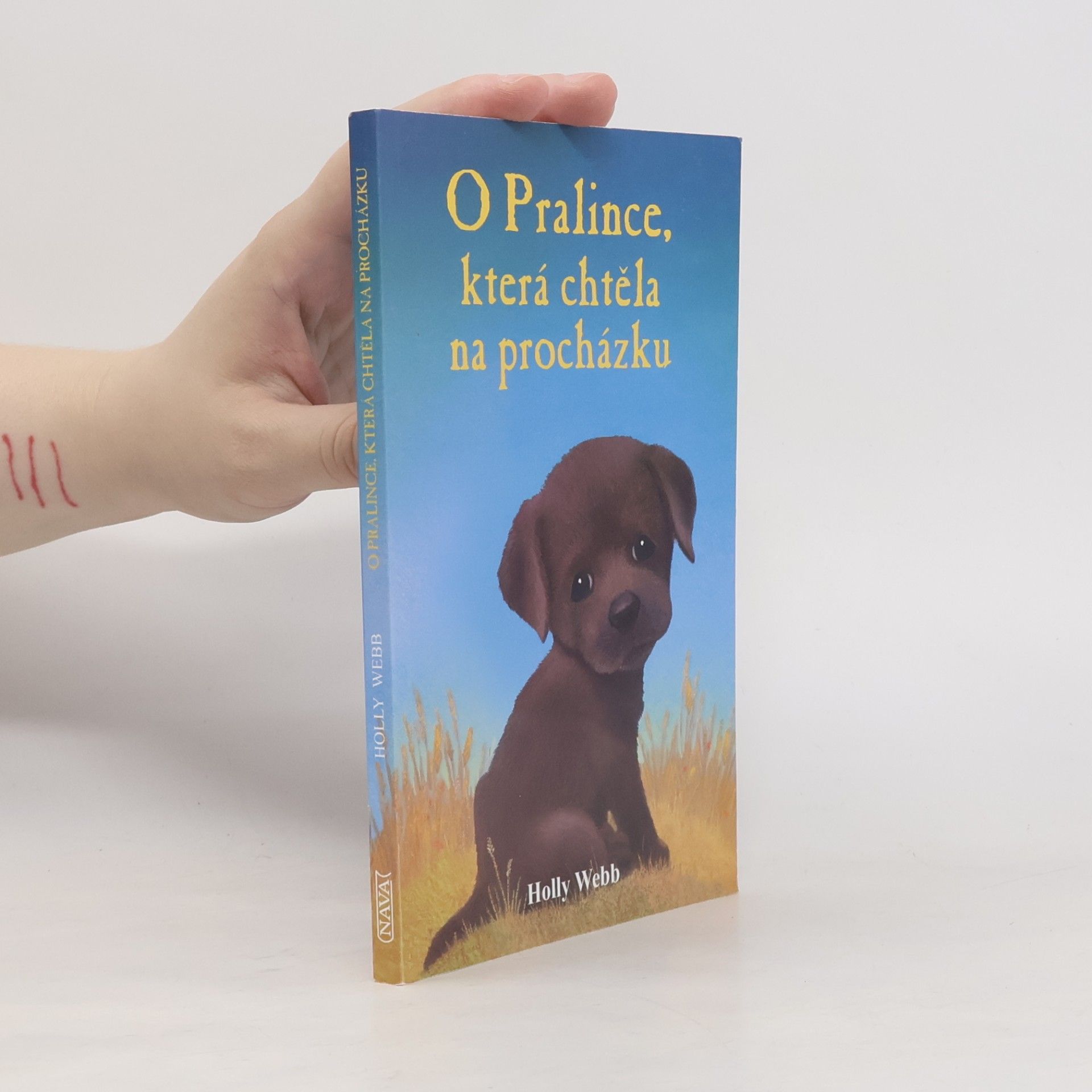 Holly Webb O Pralince, která chtěla na procházku