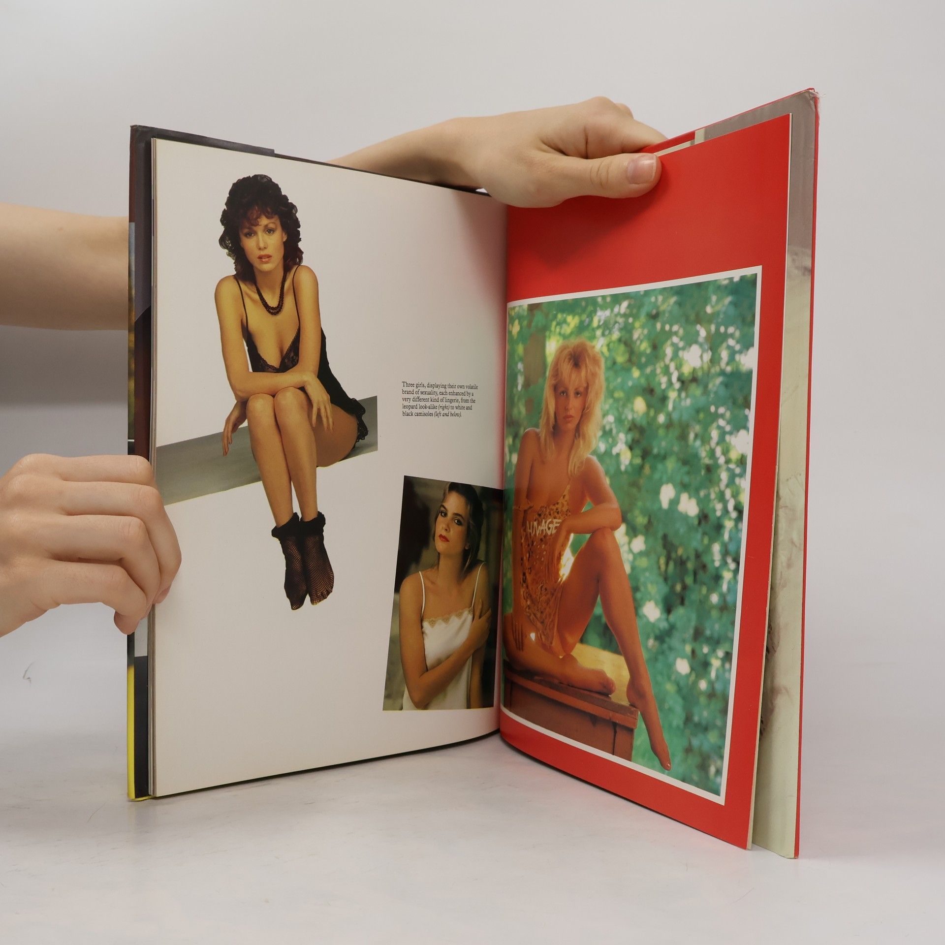 Susan Marchant-Haycox Secret Pleasures