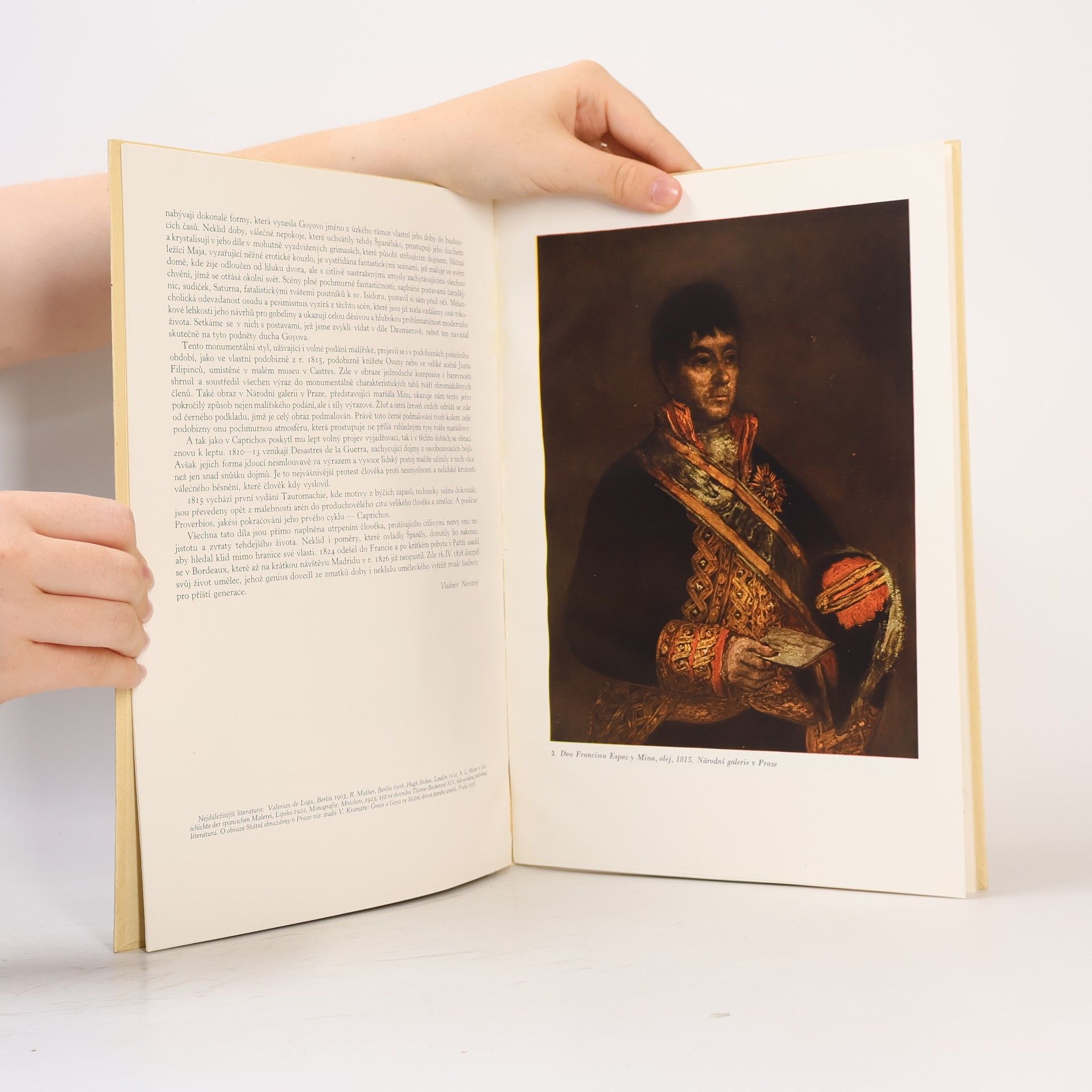 Francisco Goya Prameny sbírka dobrého umění 29. Goya