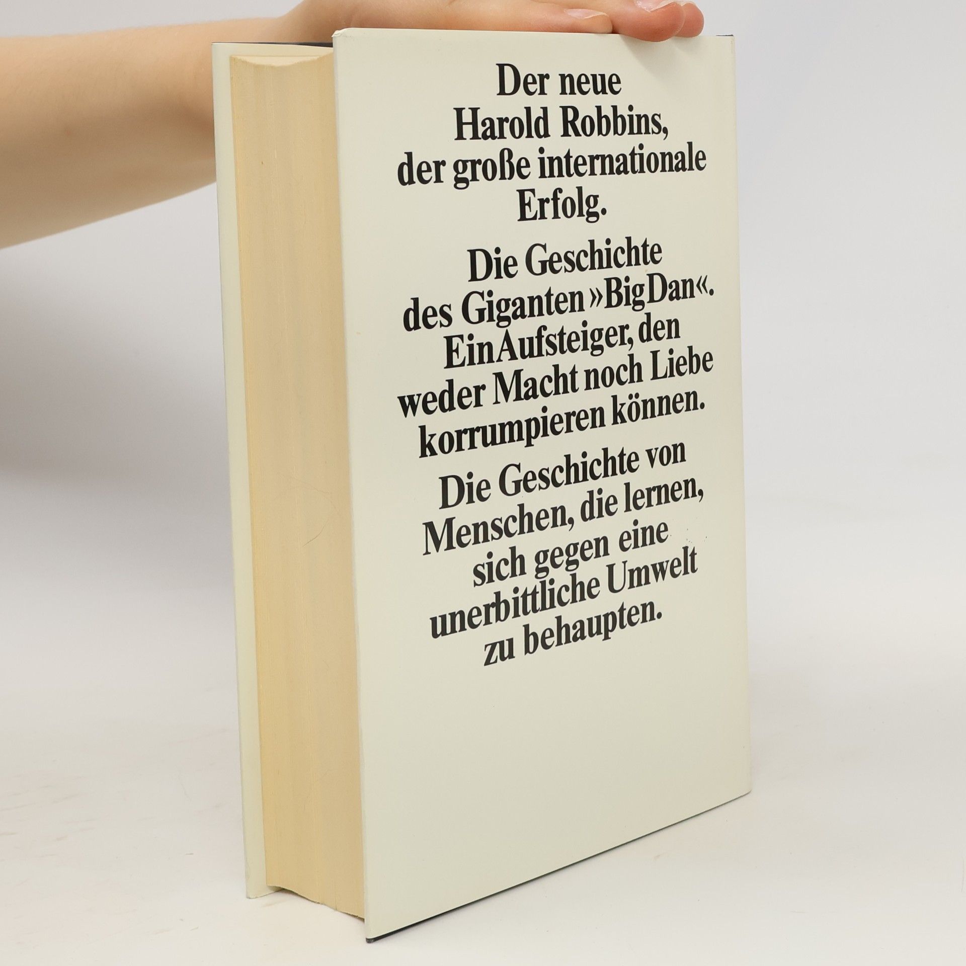 Harold Robbins Die Aufsteiger
