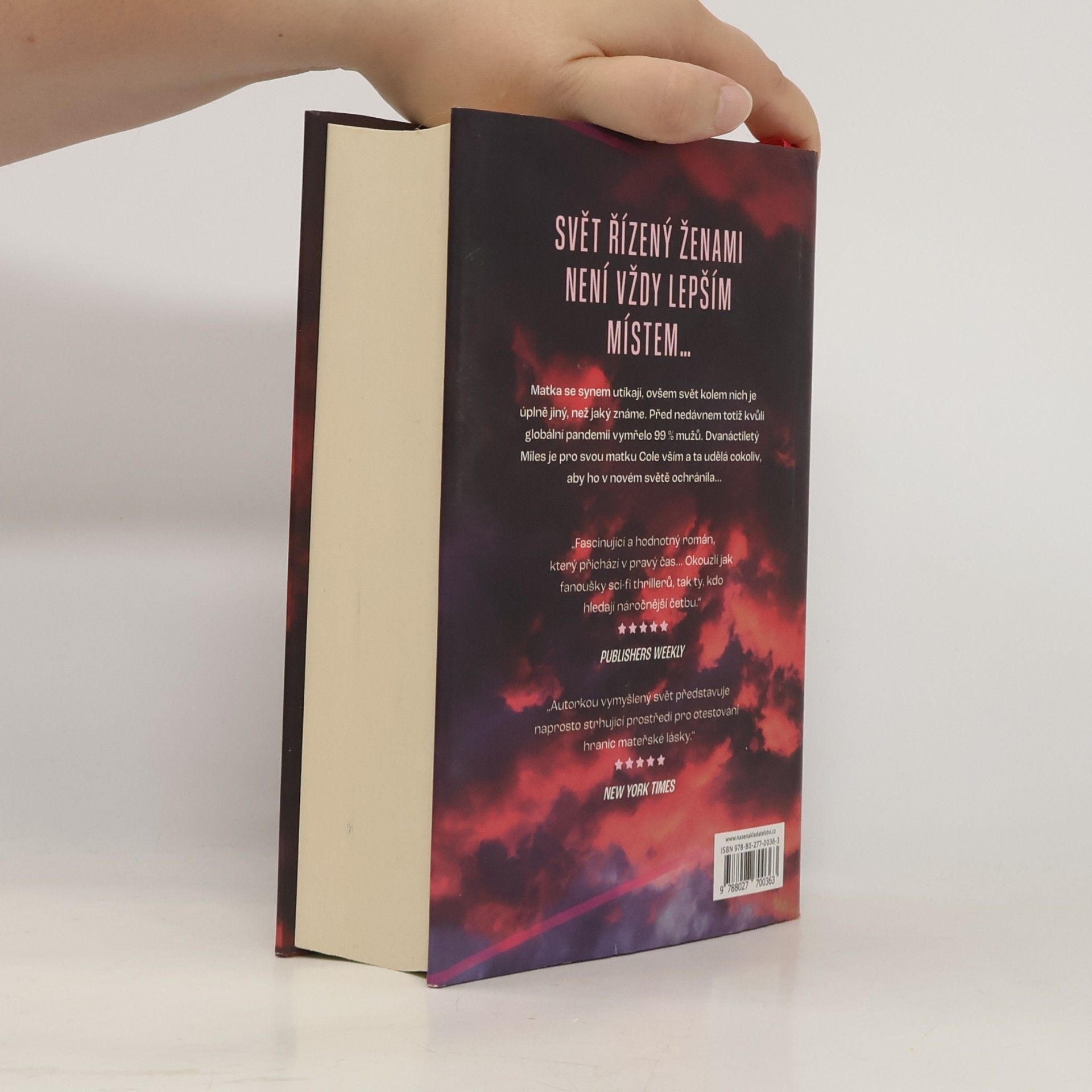 Lauren Beukes Afterland