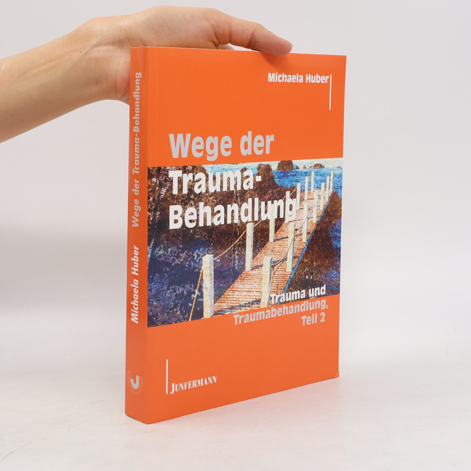 Michaela Huber Trauma und Traumabehandlung 2