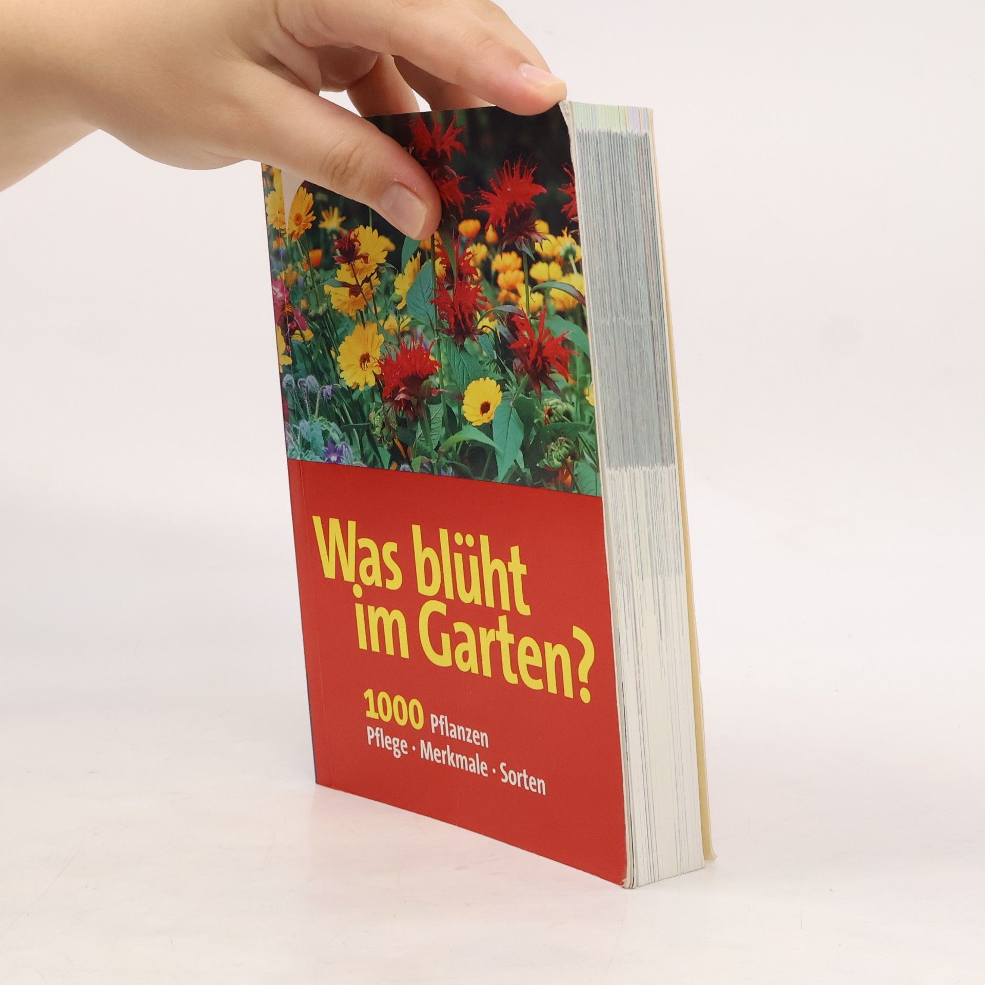 Angelika Throll Was blüht im Garten?