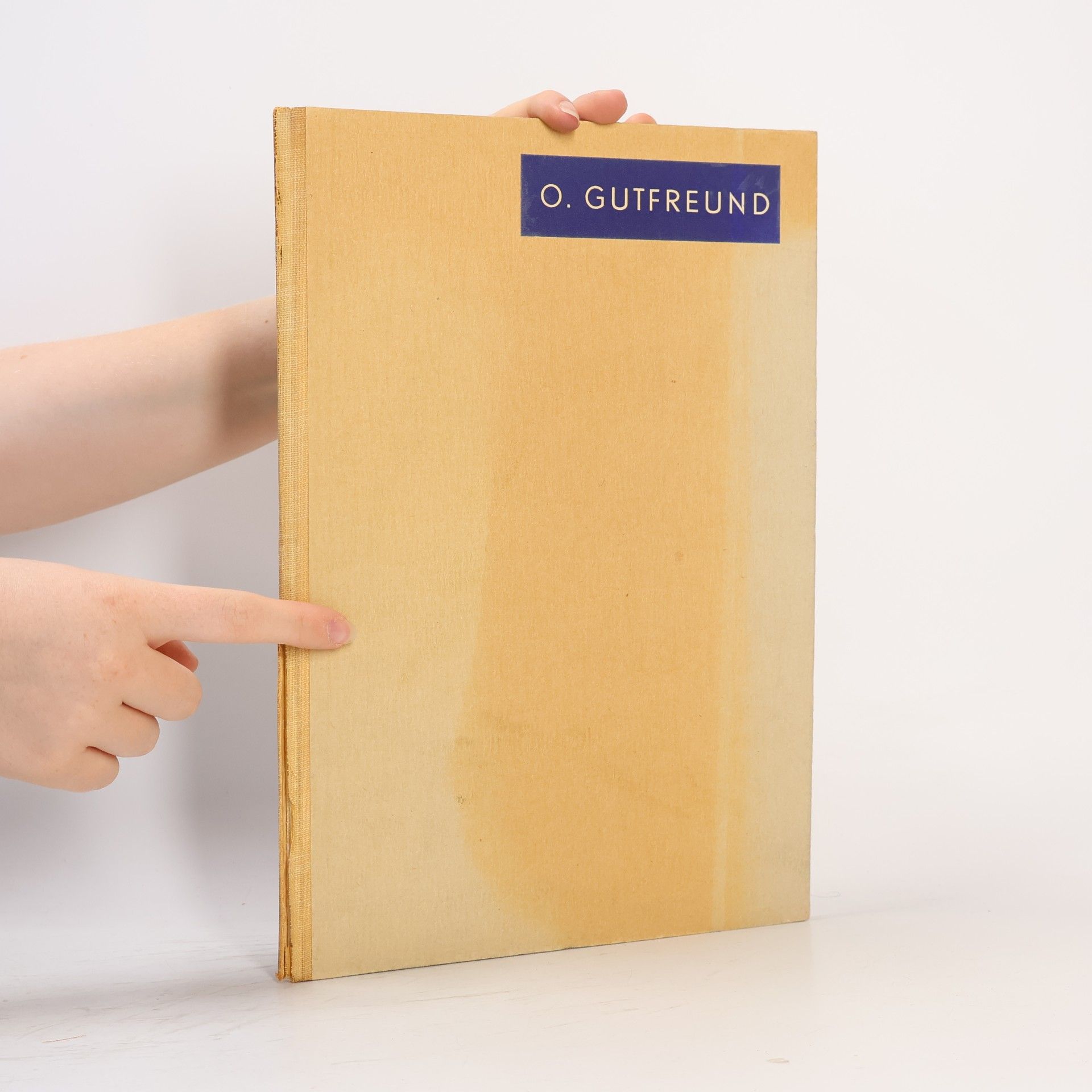 Kolektiv autorů Otto Gutfreund