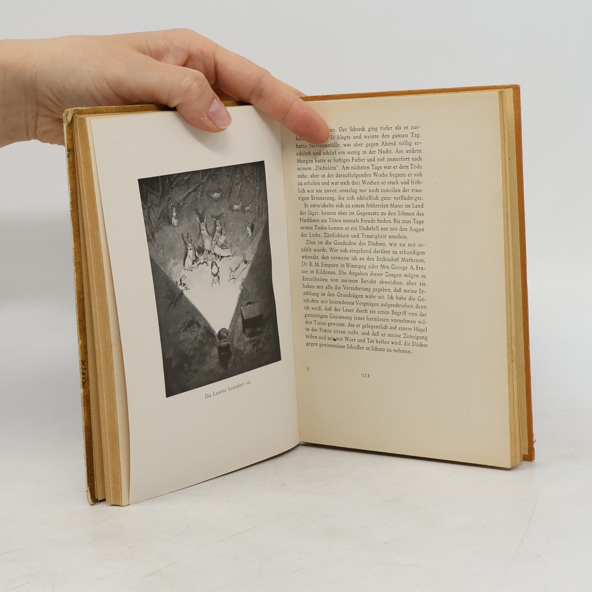 Ernest Thompson Seton Wilde Tiere zuhause