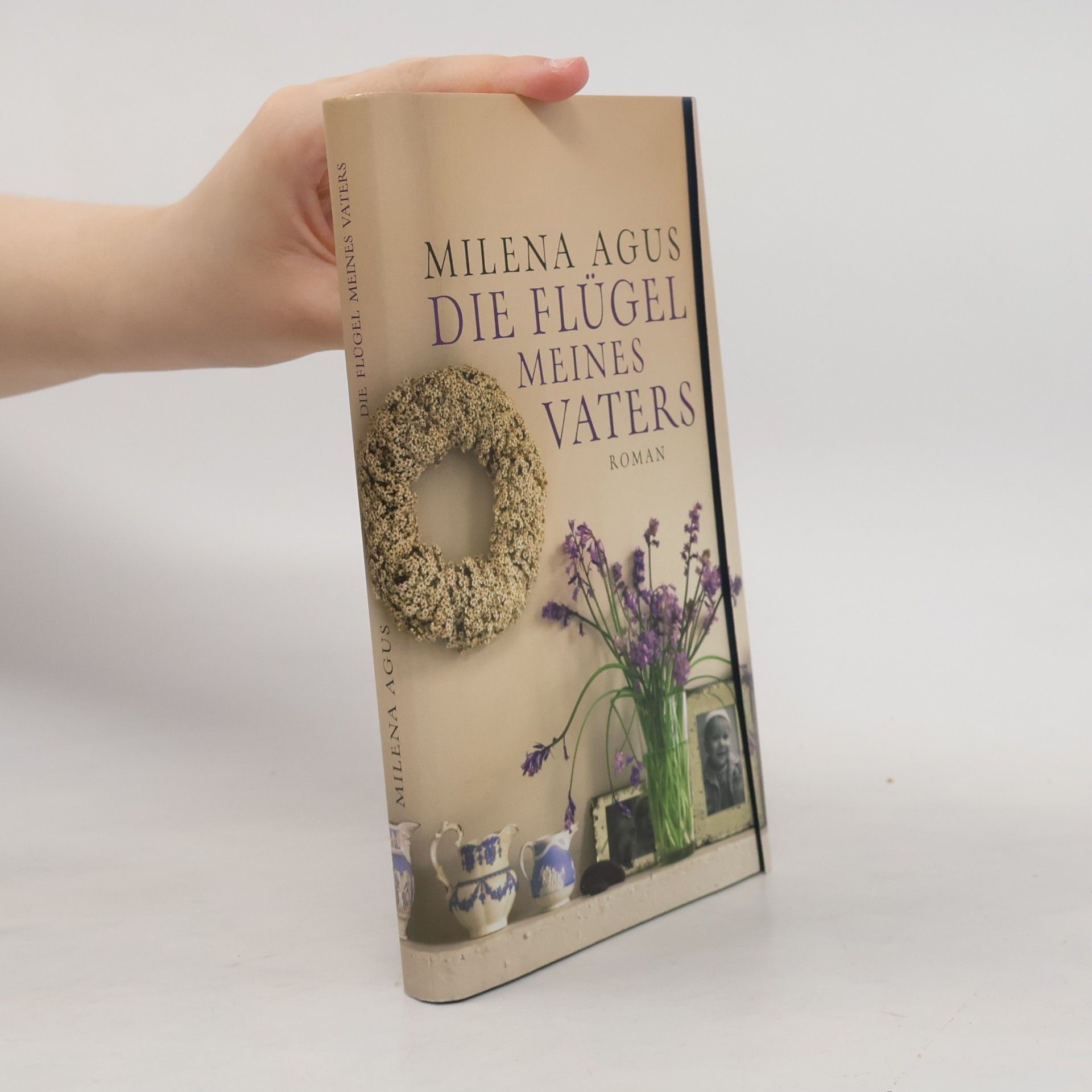 Milena Agus Die Flügel maines Vaters