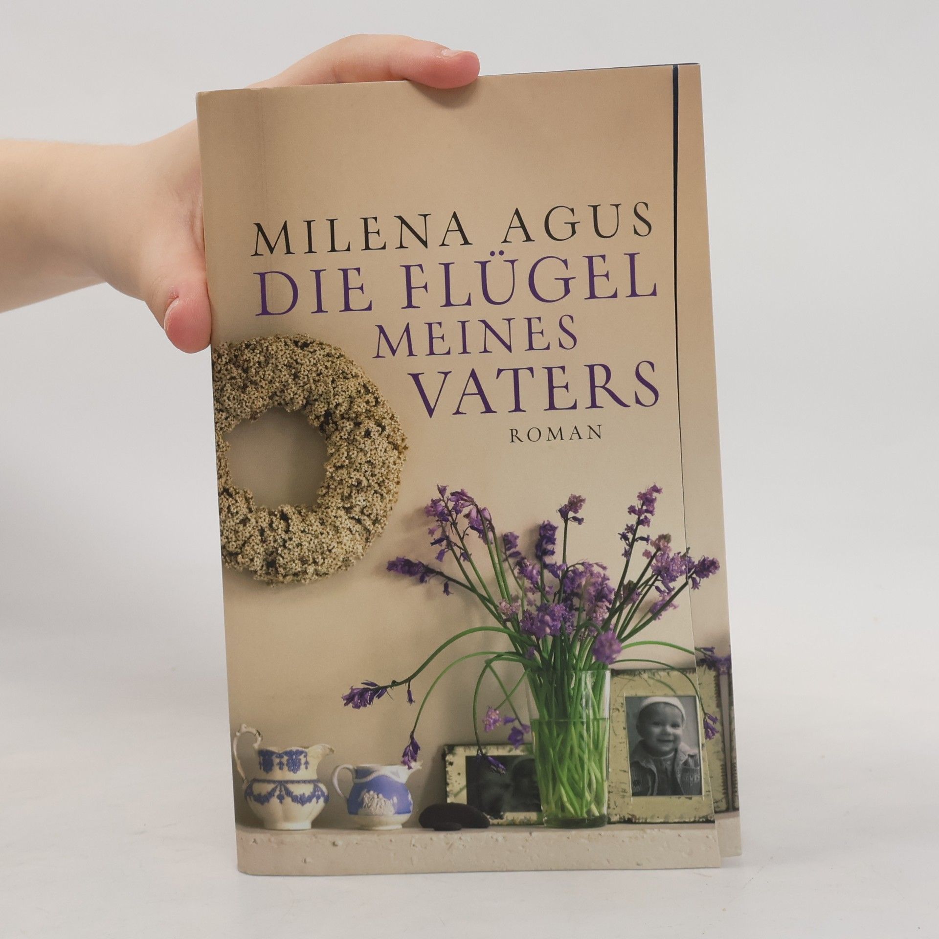 Milena Agus Die Flügel maines Vaters