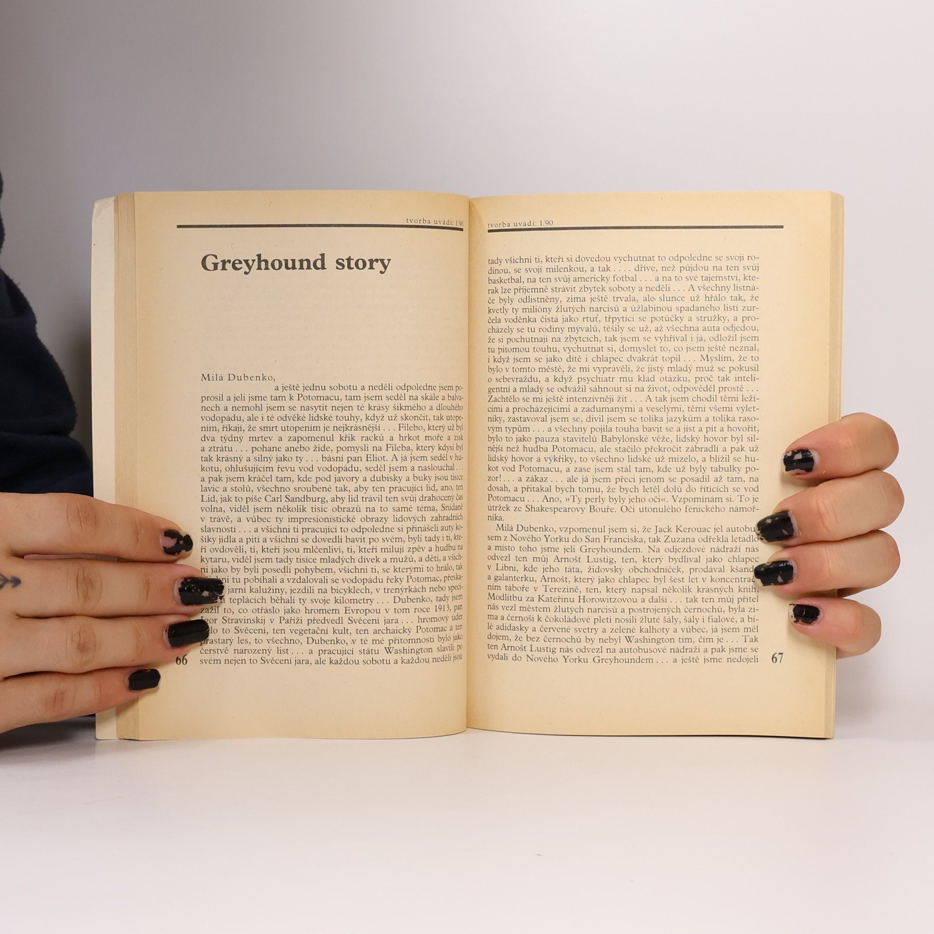 Bohumil Hrabal Listopadový uragán