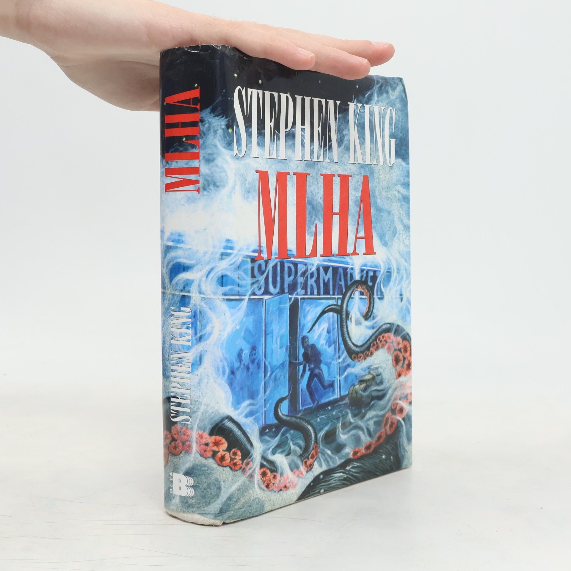Stephen King Mlha