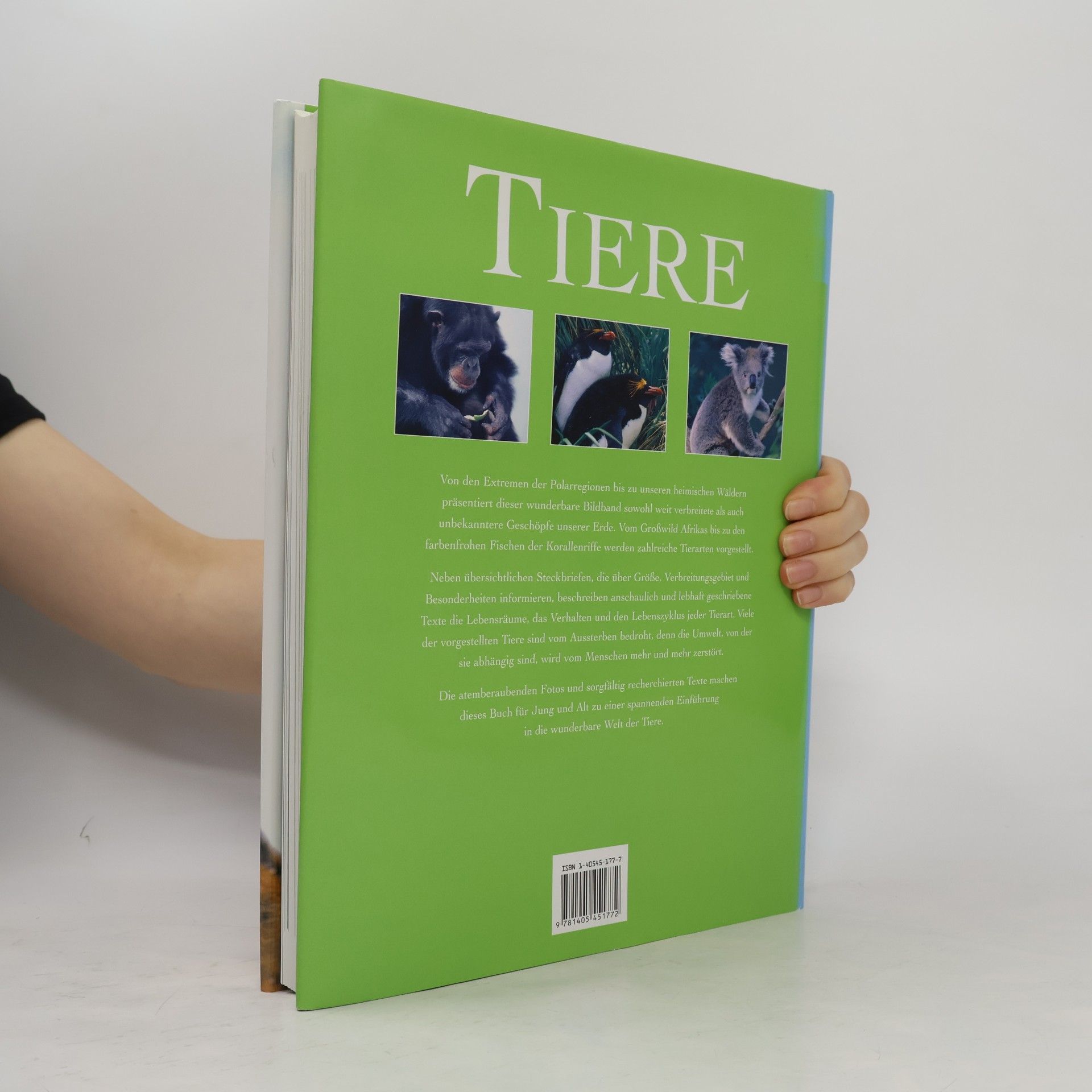 Mike Briggs Tiere