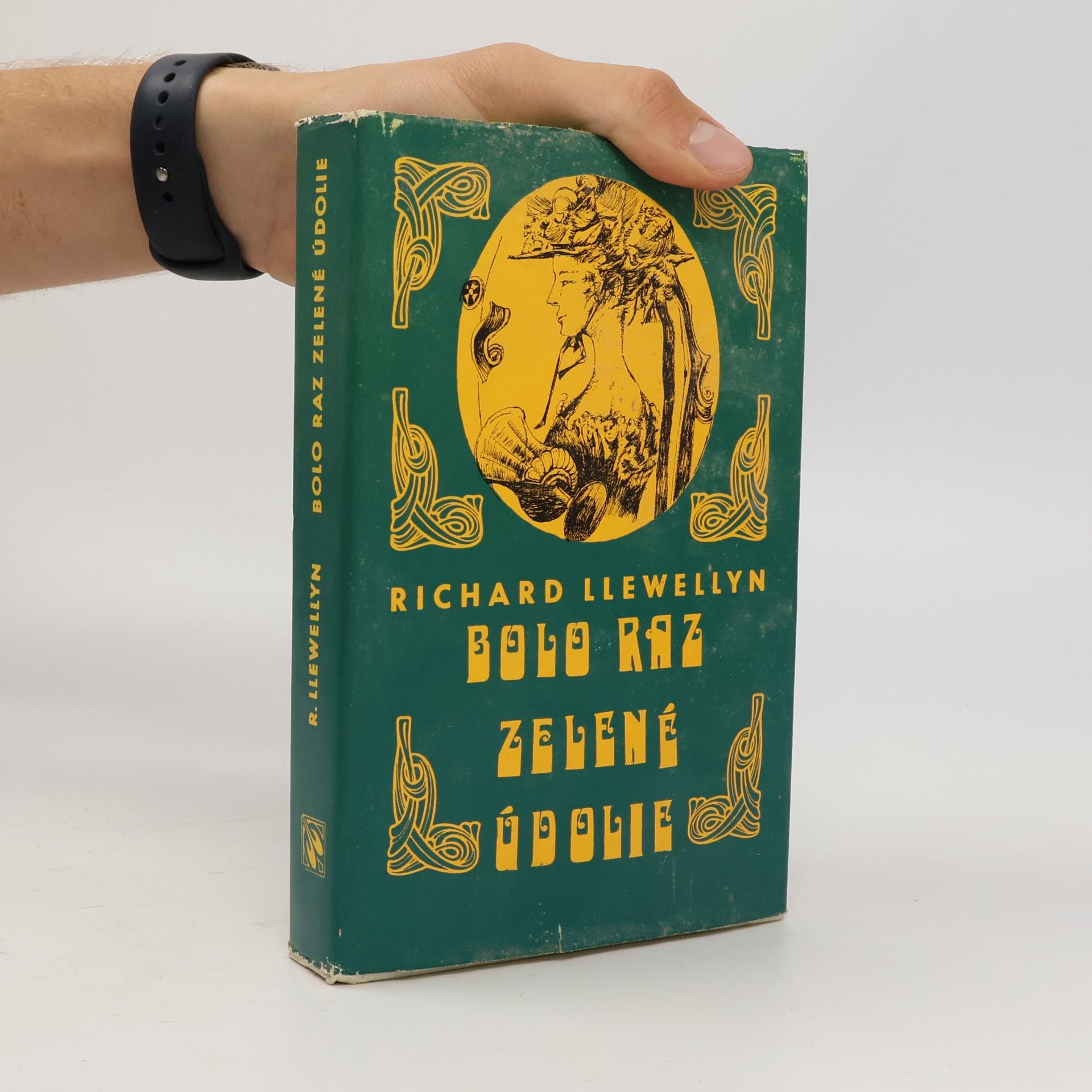 Richard Llewellyn Bolo raz zelené údolie