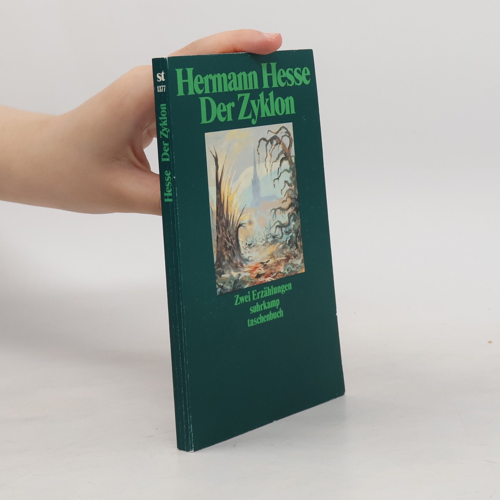 Hermann Hesse Der Zyklon