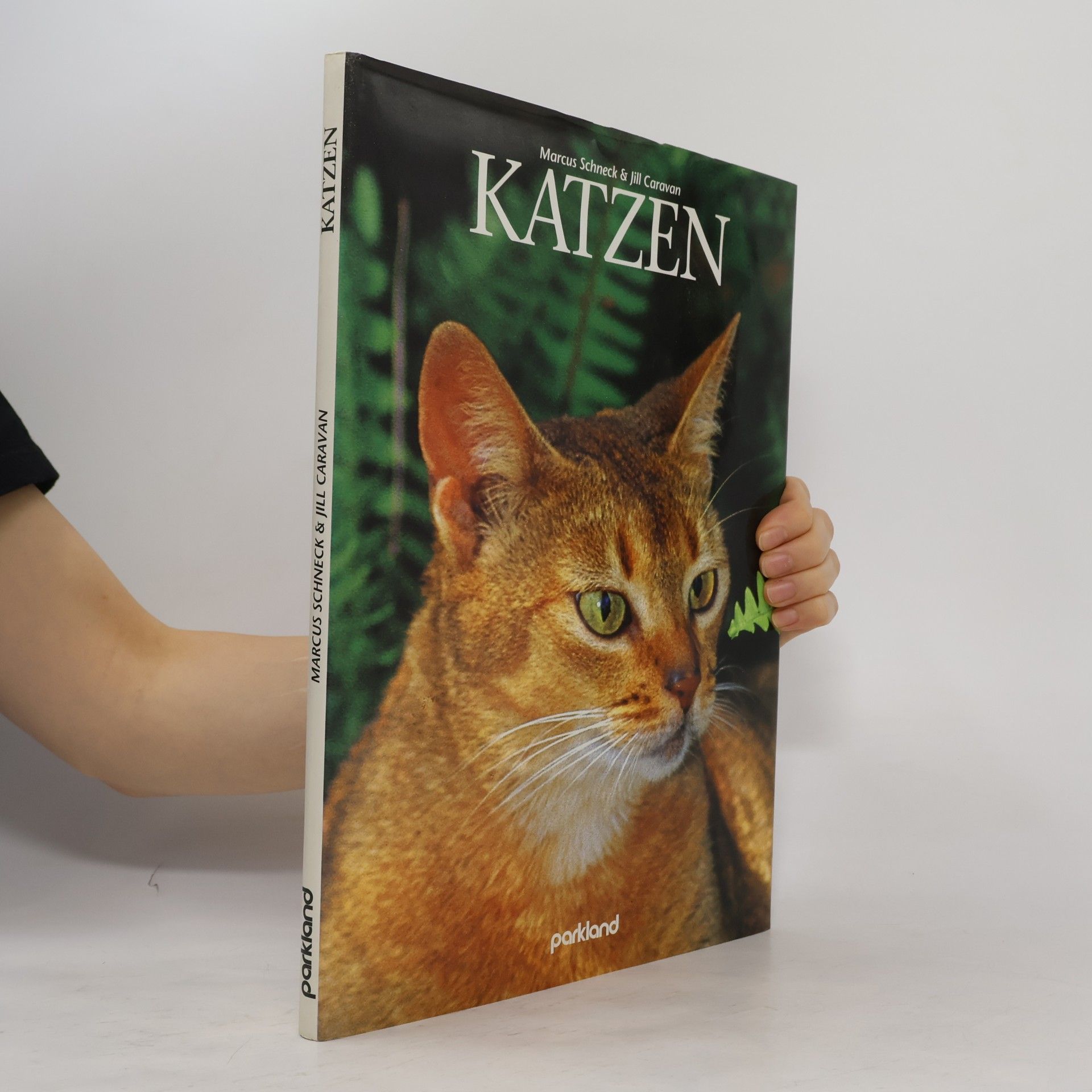 Katzen