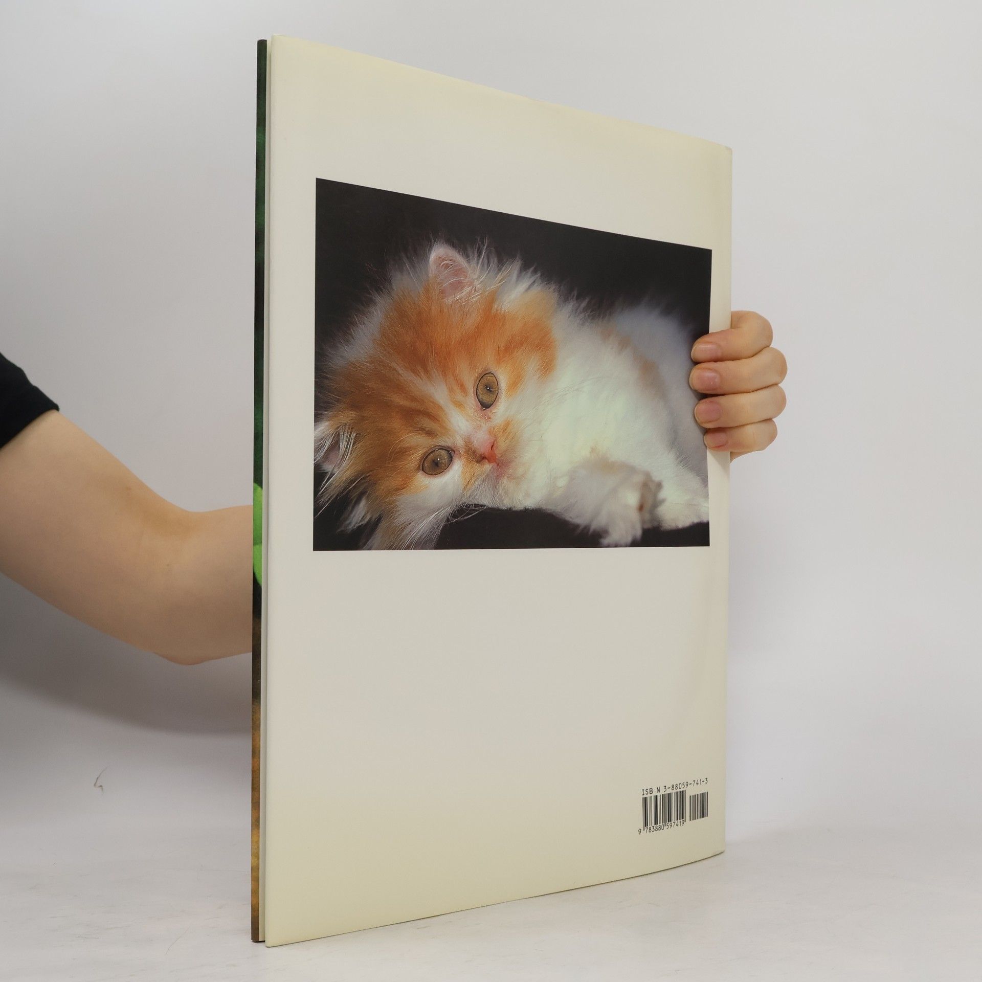 Marcus Schneck Katzen