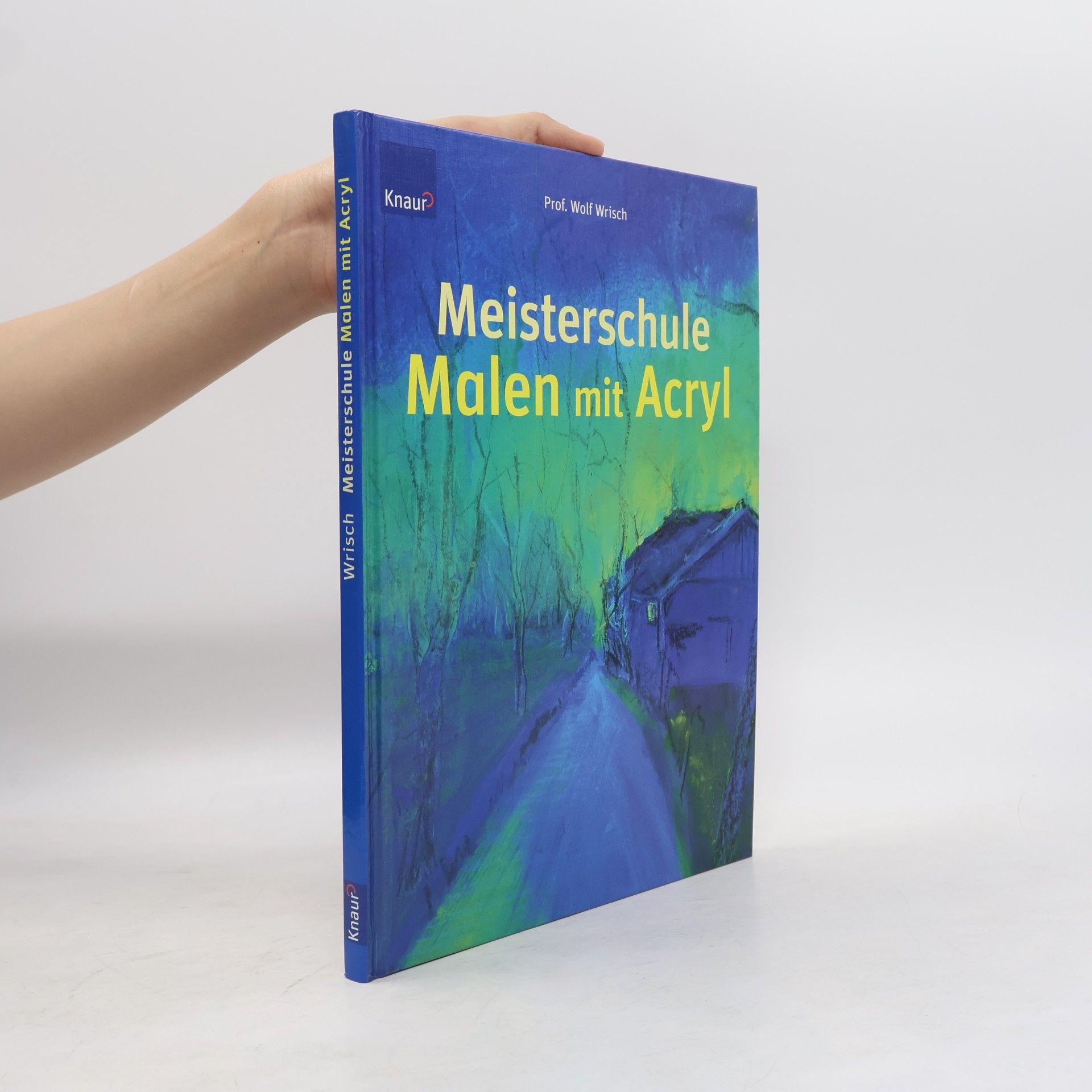 Prof. Wolf Wrisch Meisterschule Malen mit Acryl