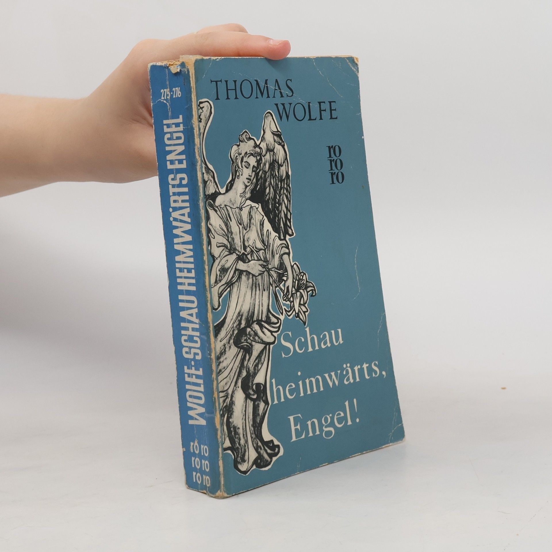 Thomas Wolfe Schau heimwärts, Engel!