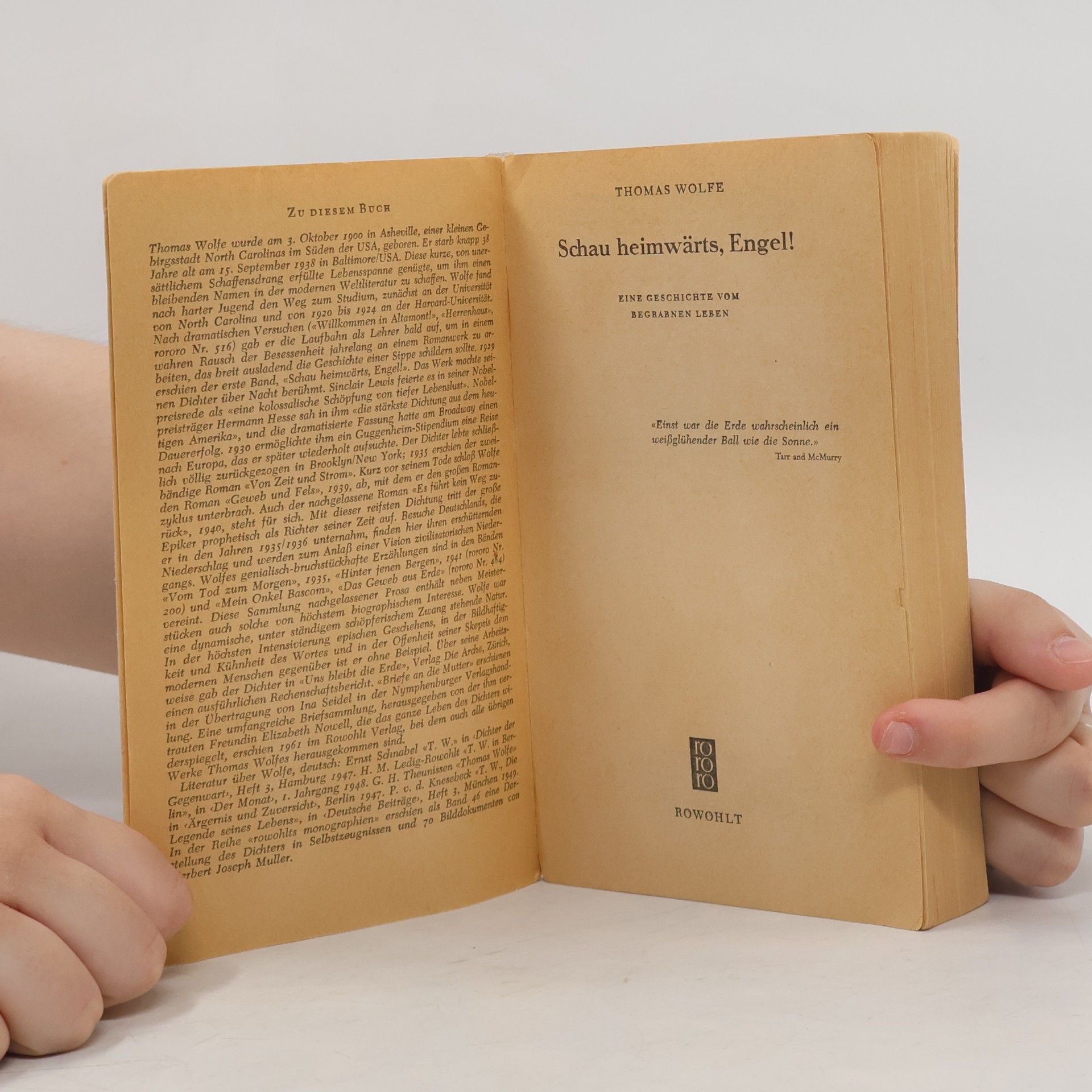 Thomas Wolfe Schau heimwärts, Engel!